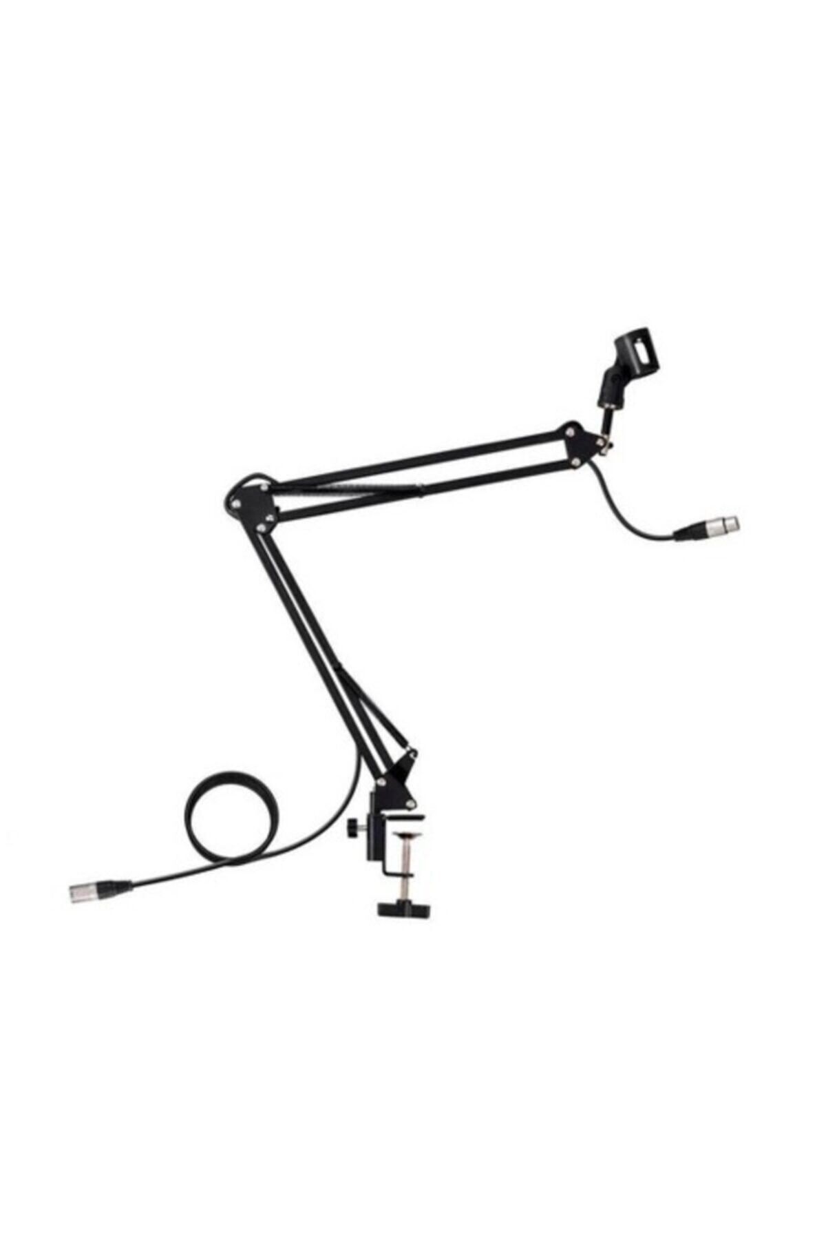 Fenix Mcst-1 Mikrofon Standı Ve Mikrofon Kablosu