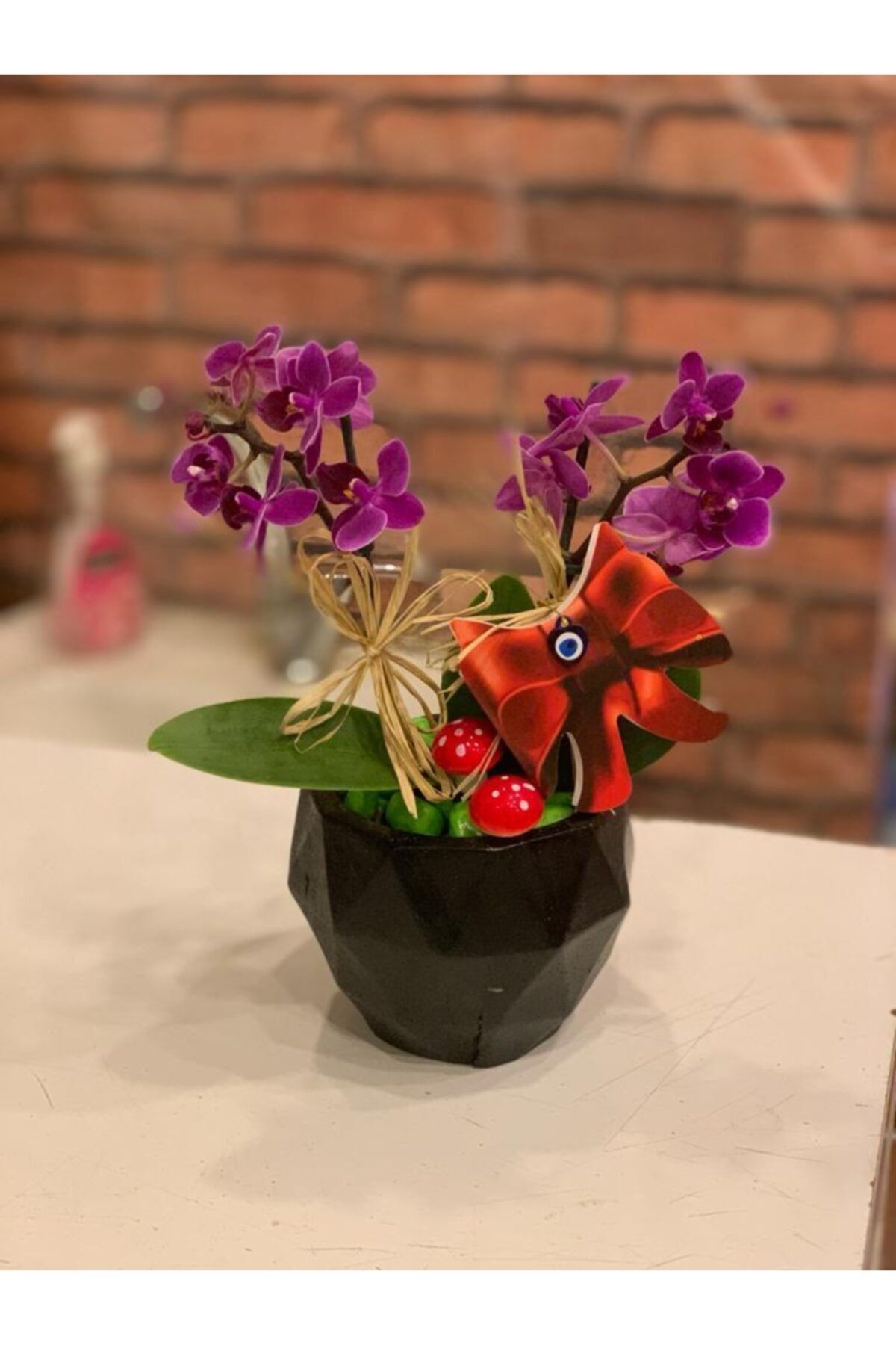 MY FLOWERS Mini Orkide Çift Dal