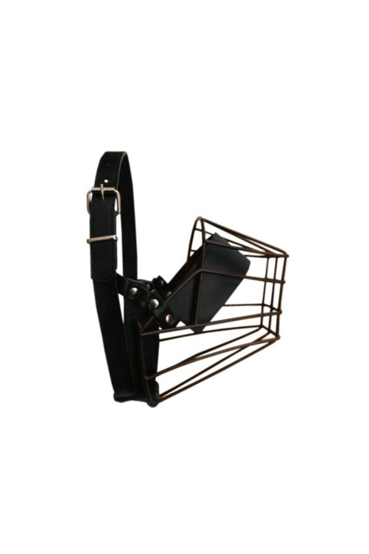 Ans Metal Deri Köpek Ağızlığı Xl 38 Cm