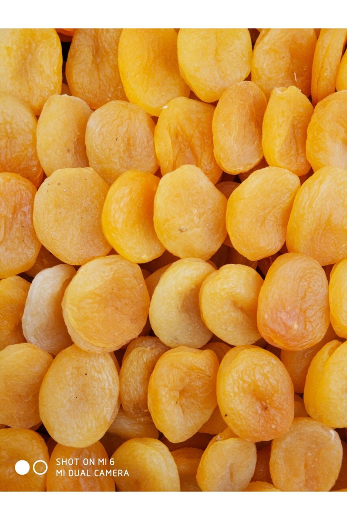 MELİT GIDA Lüks Jumbo Sarı Kayısı
