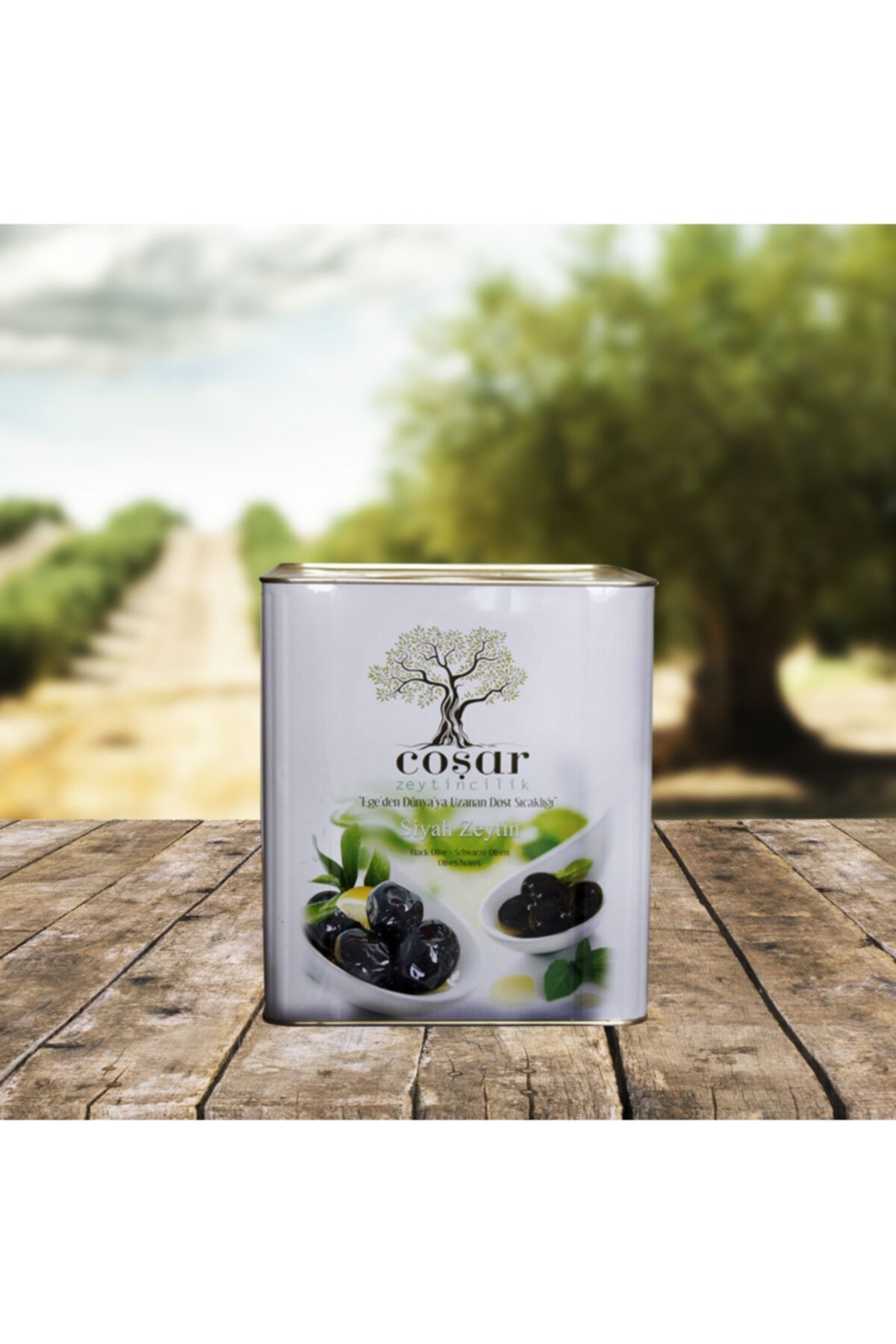 Coşar Zeytin Gemlik Yağlı Sele 261-290 (m) 10 Kg Siyah Zeytin