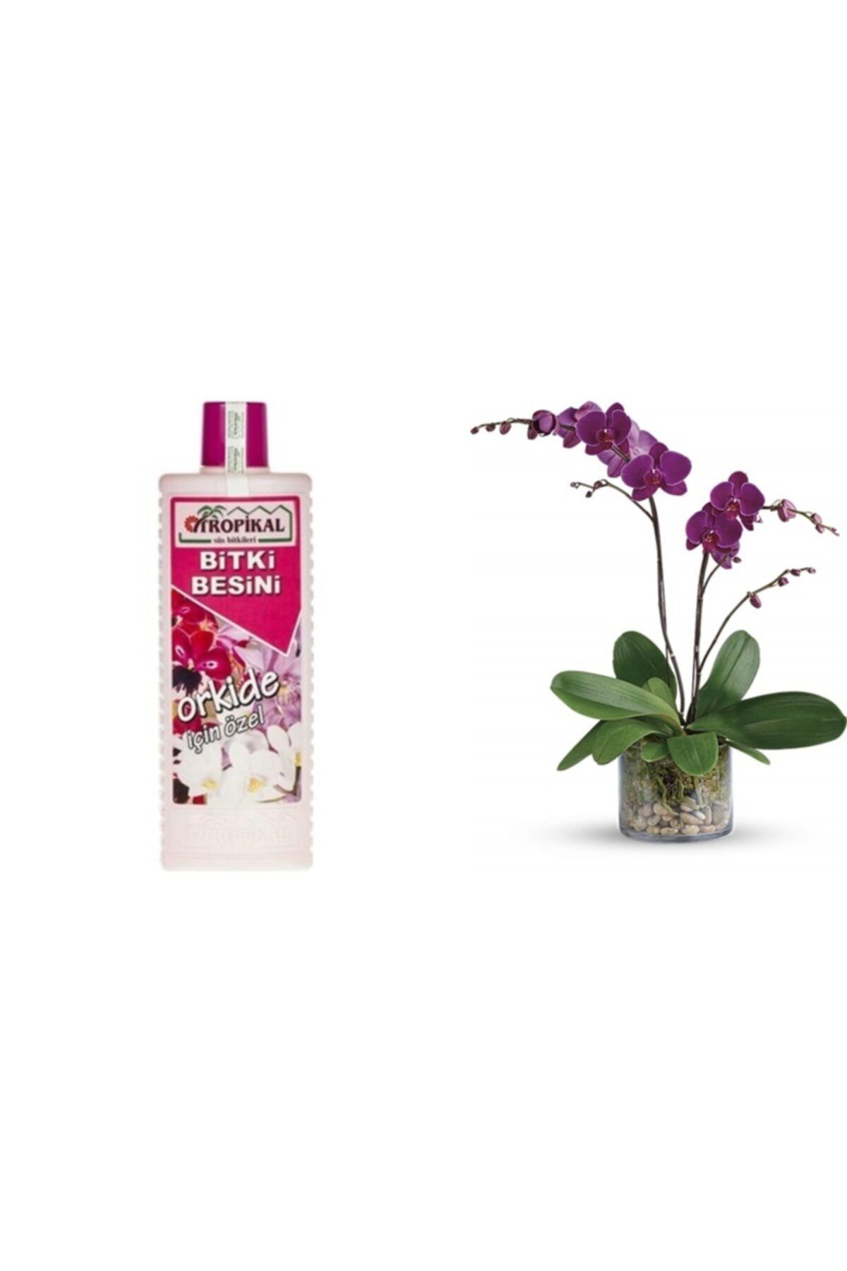 Tunç Botanik Tropikal Orkide Bitki Besini - 1000 Ml