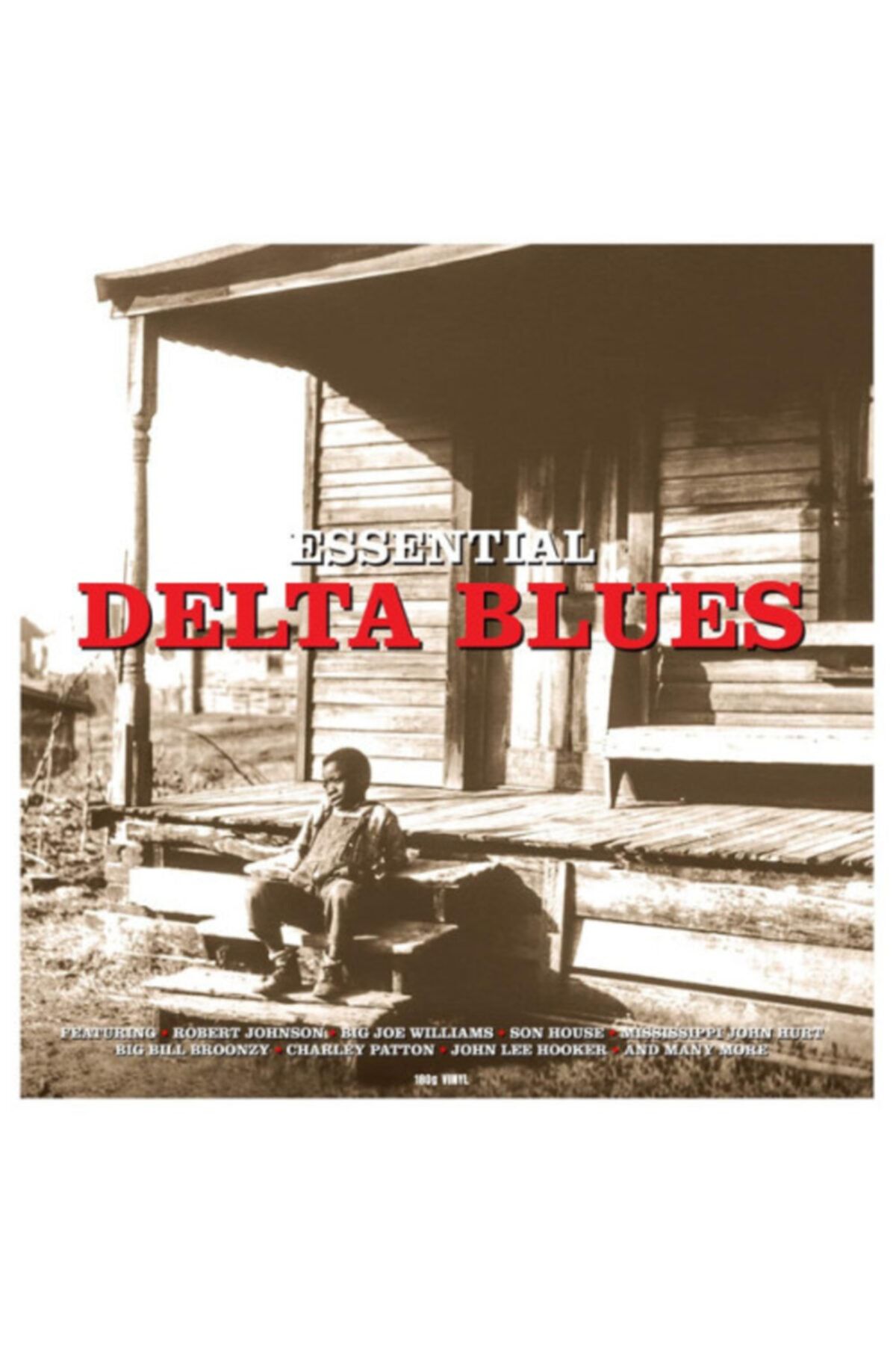 ALP PLAK Essentıal Delta Blues - Plak / Lp