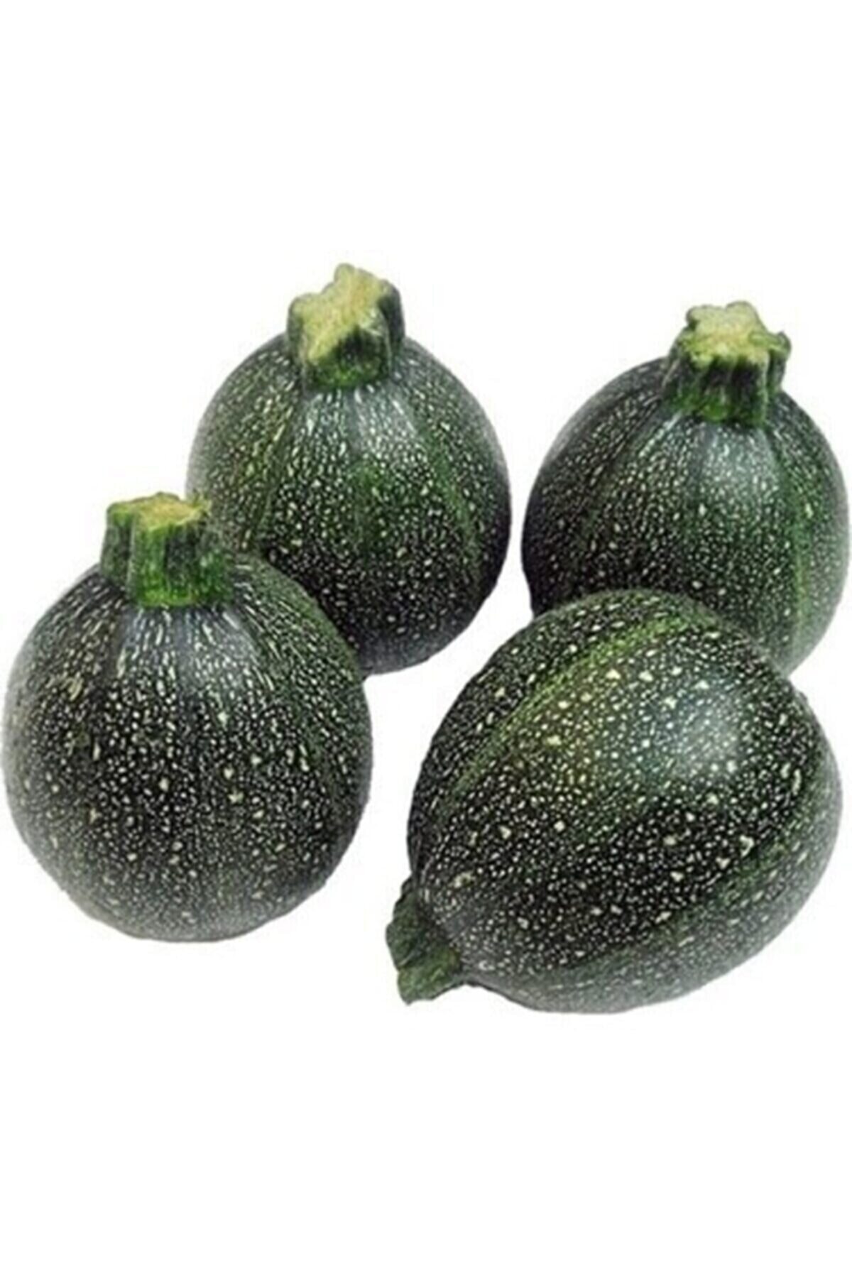 RAÇAM BOTANİK 50 Adet Atalık Topak Kabak Tohumu Kabak