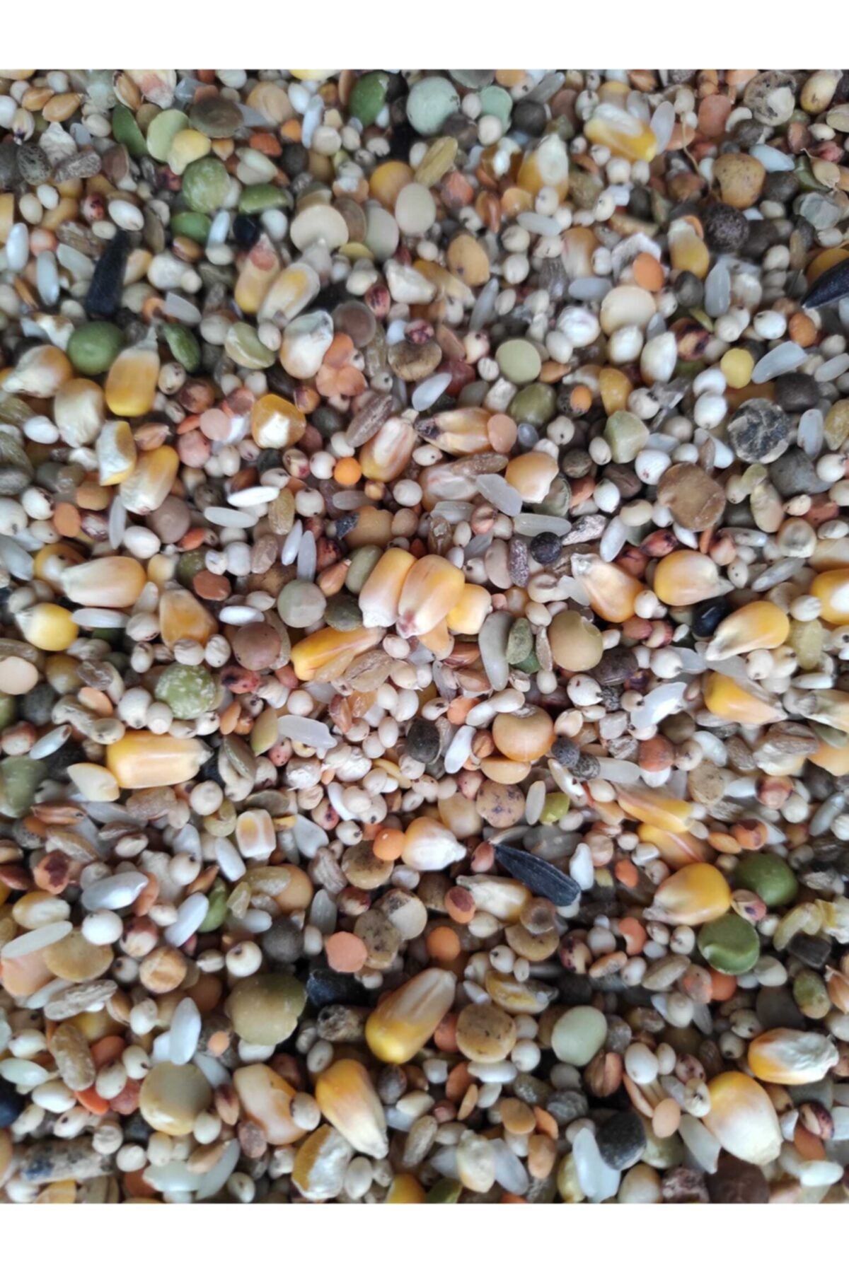Güvercin Karışık Yemi Buğdaysız 10 Kg