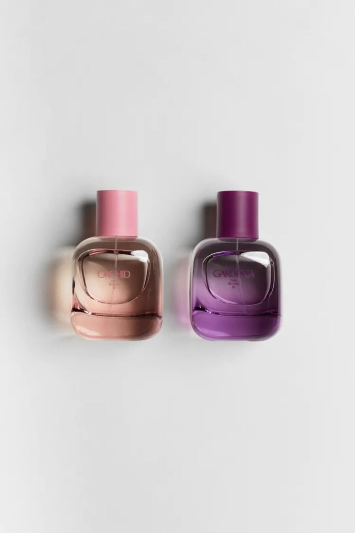 Zara Gardenıa Edp 90 ml Orchıd Edp 90 ml (3.0 FL. OZ). Kadın Parfüm Seti 2x90 ml
