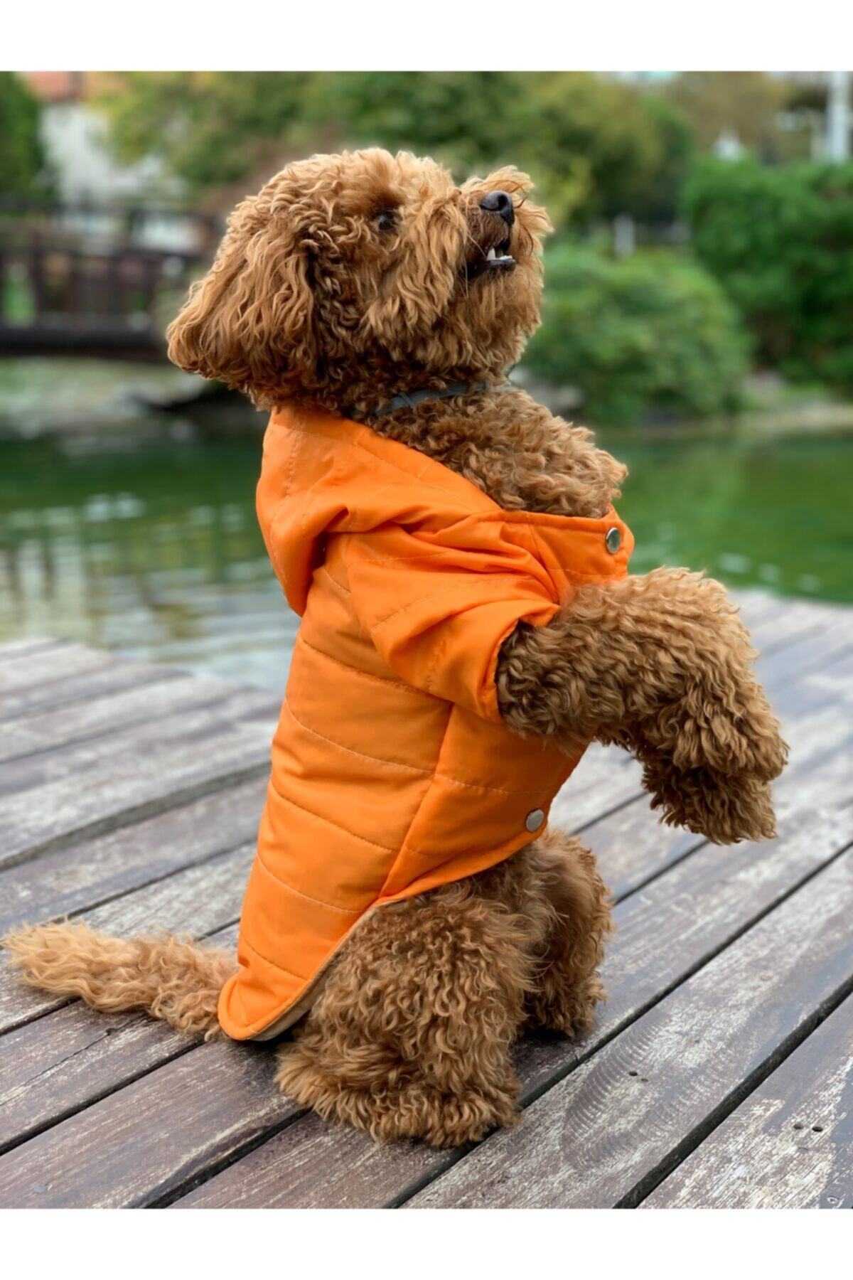 PAWHİLDA Turuncu Köpek Mont