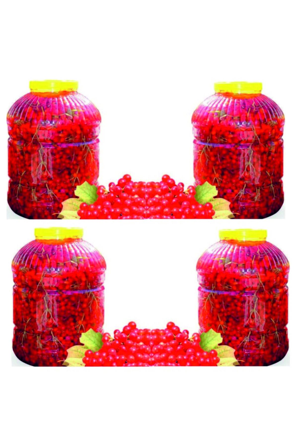 Gilaburu Meyvesi 4 X 5 L