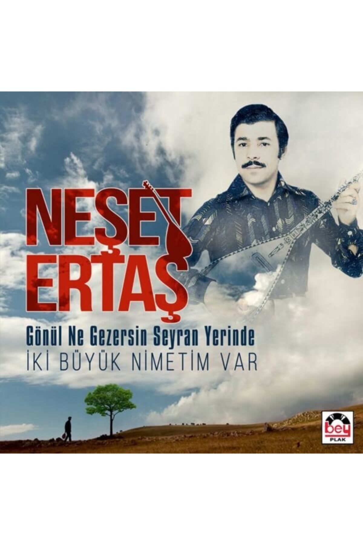 Bey Plak Gönül Ne Gezersin Seyran Yerinde