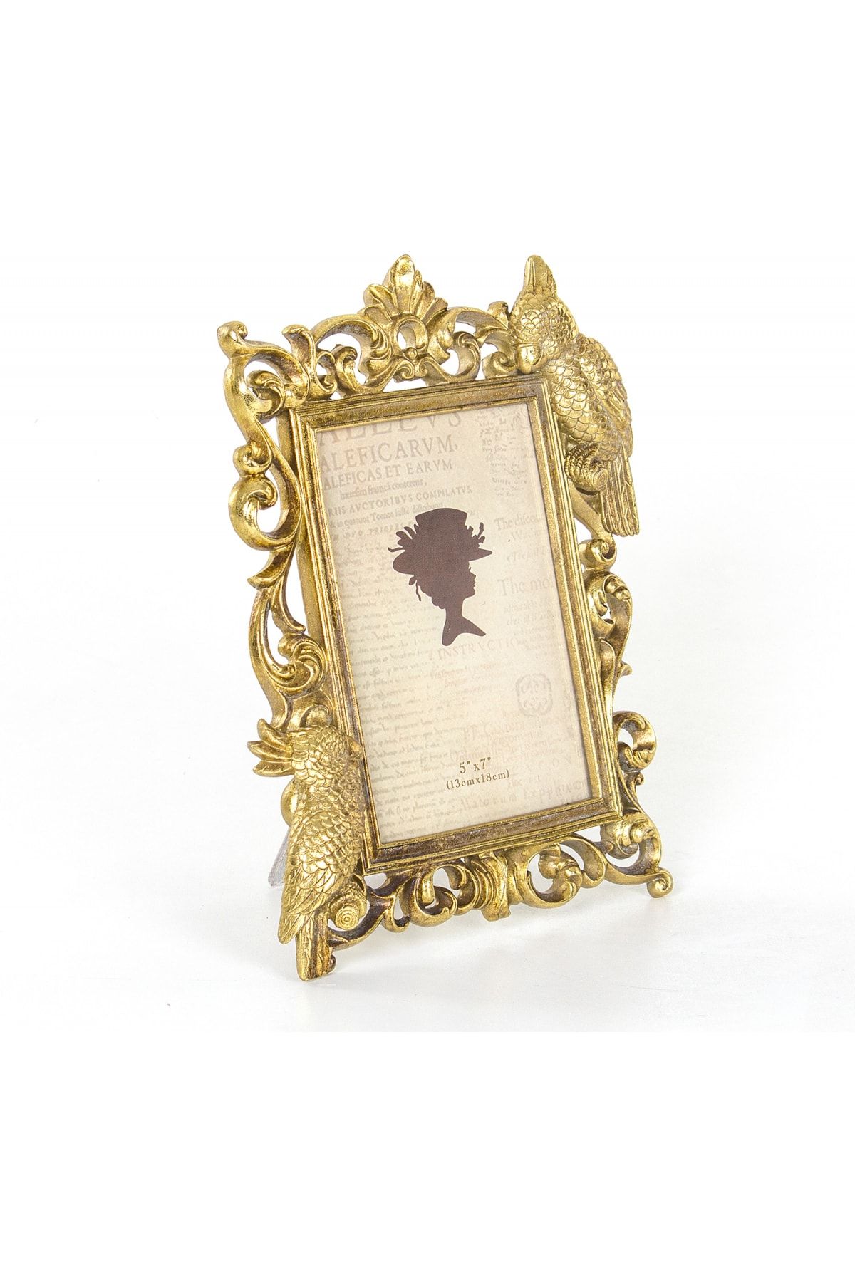 Euro Flora Çerçeve Papağanlı 21x26 Cm