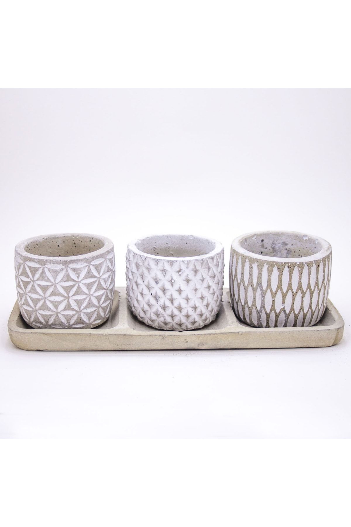 VeraMaya Tabaklı Trio Sukulent Beyaz Saksı Set 25x7x10 cm