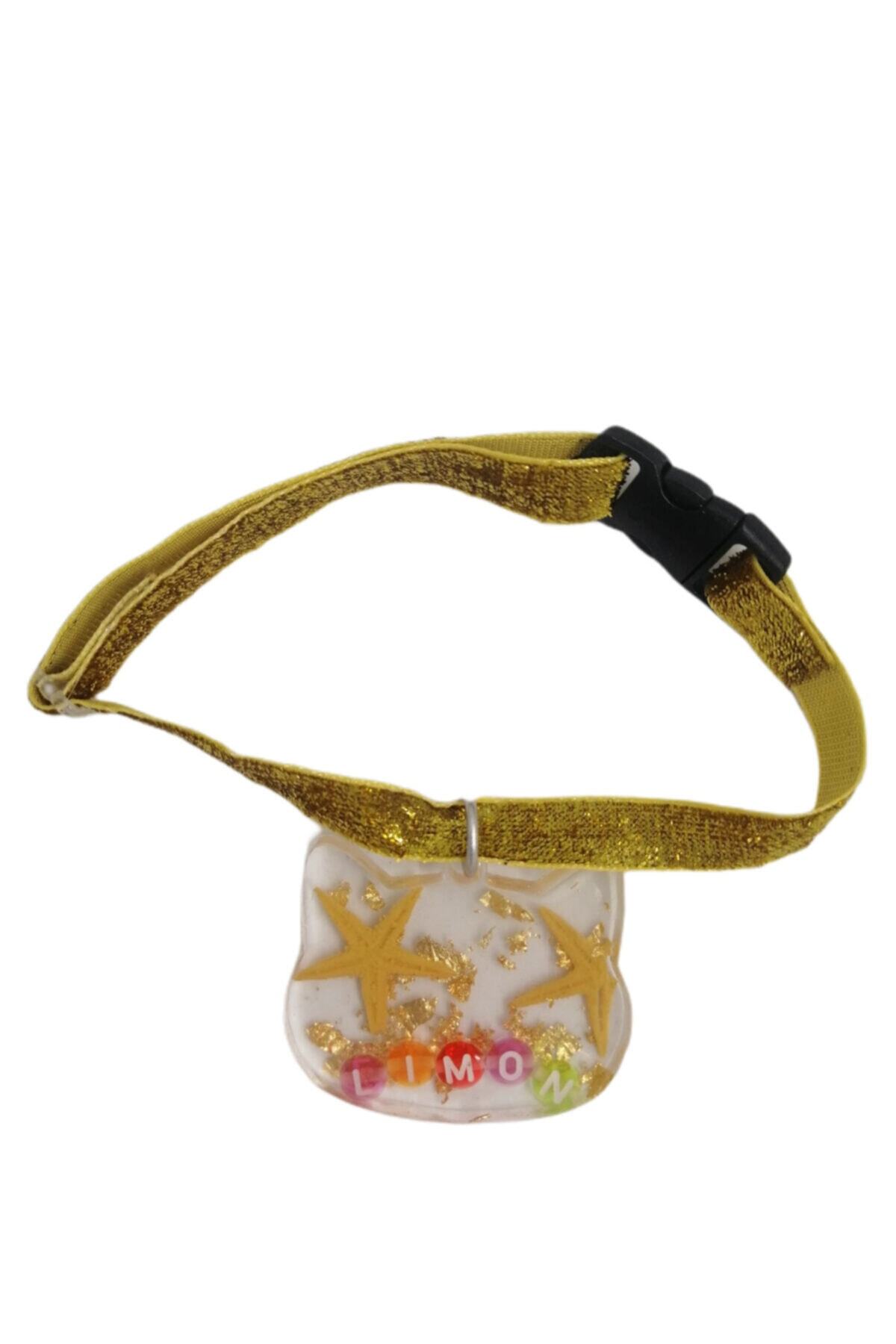 Lumos Cat Kedi Tasması Isimli Deniz Yıldızı