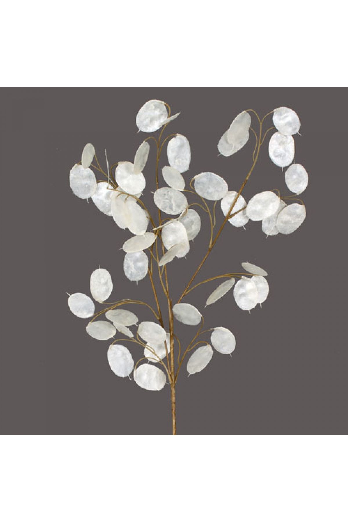 Euro Flora Yapay Money Tree Leaf 76 cm.