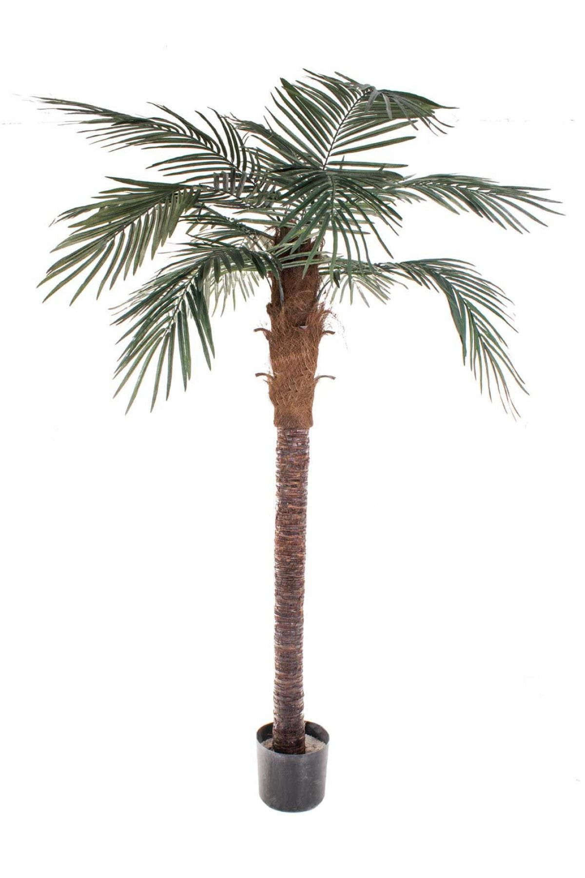 Euro Flora Yapay Ağaç Palmiye 180 Cm