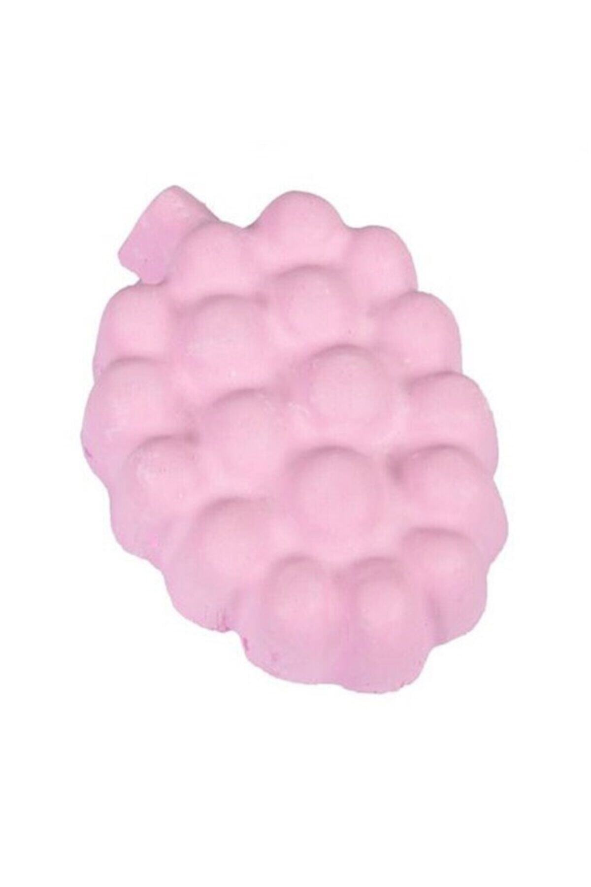 Karlie Kemirme Taşı Ahududu 60gr