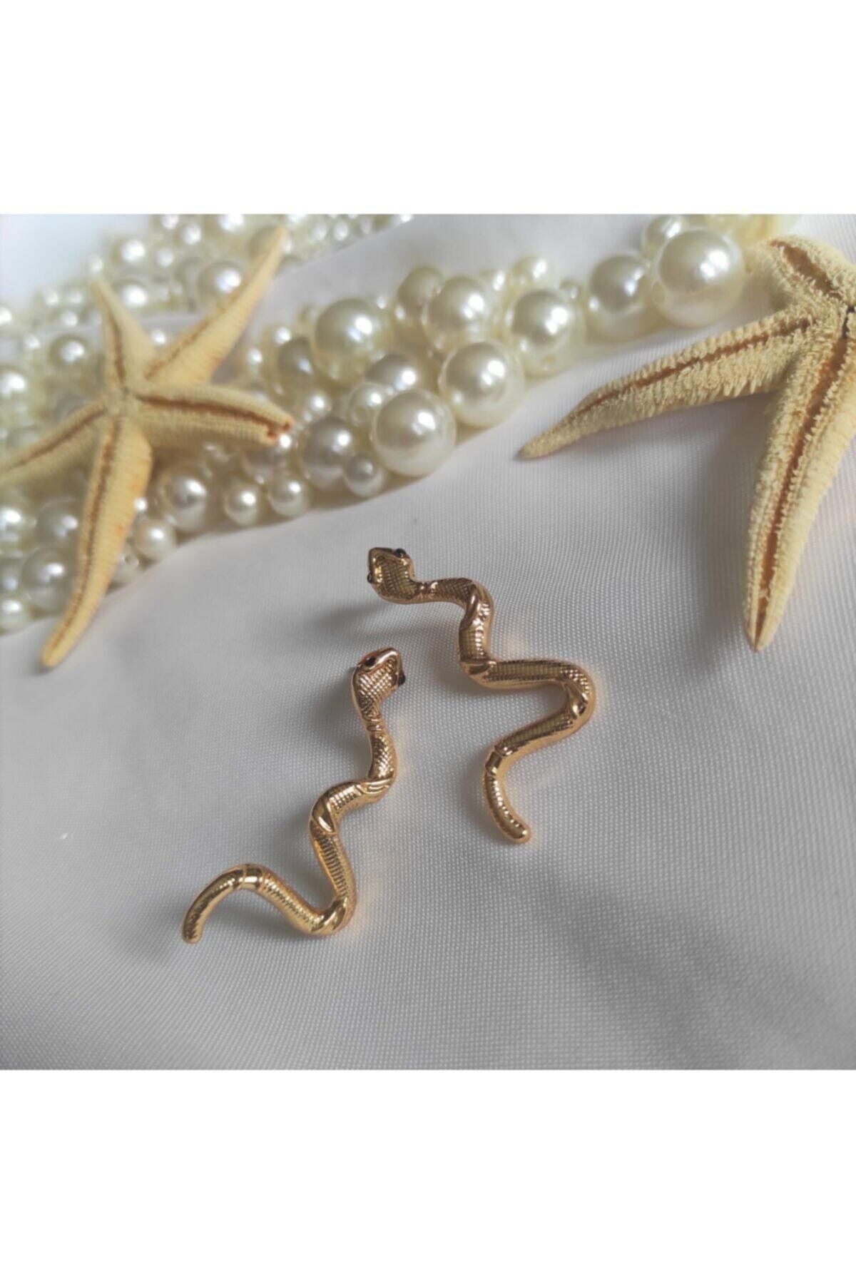 DGN Shoping Kadın Gold Yılan Küpe