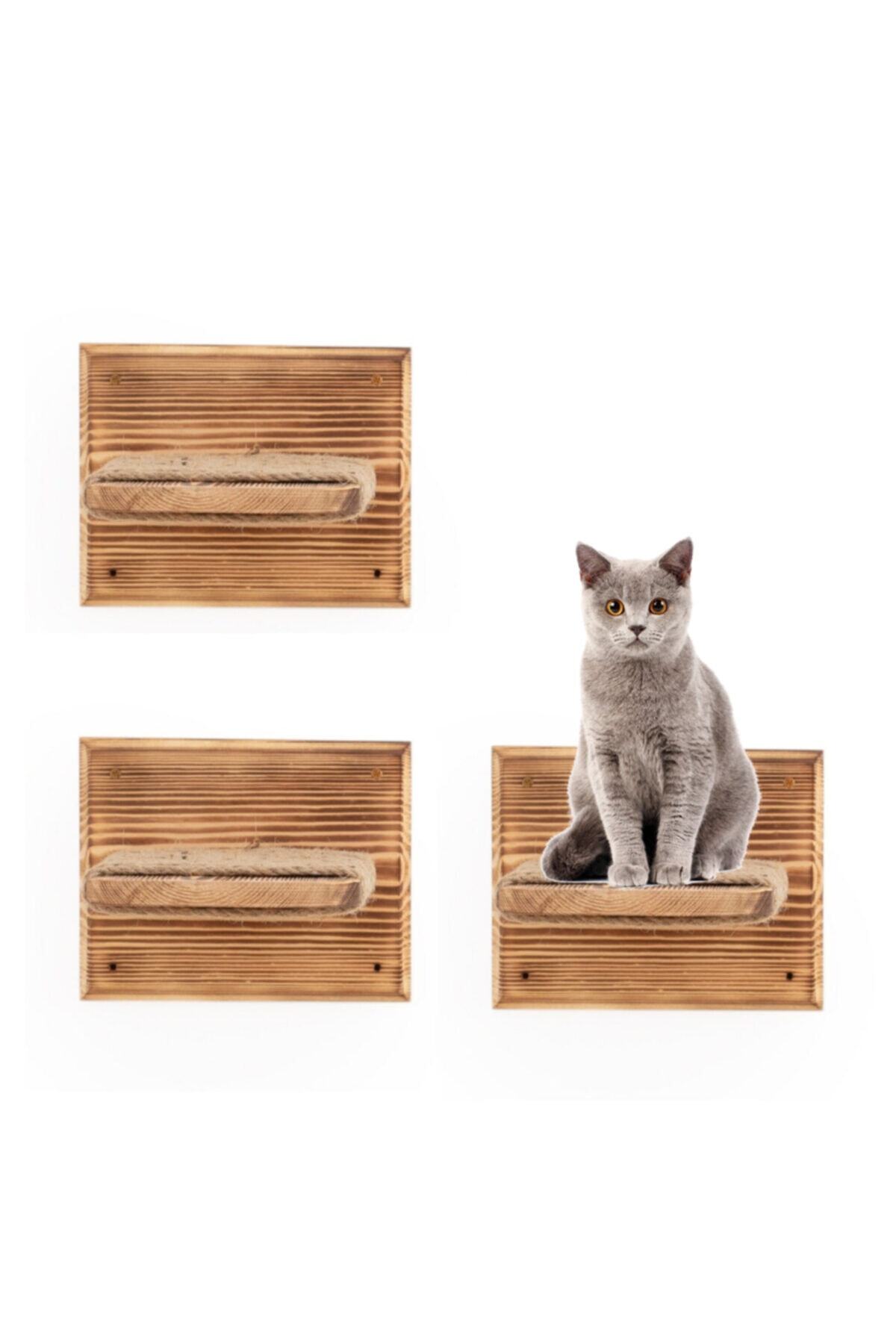 Ahşap Pusula Duvara Monte Kedi Basamak Seti 3 Lü Set Kedi Rafı
