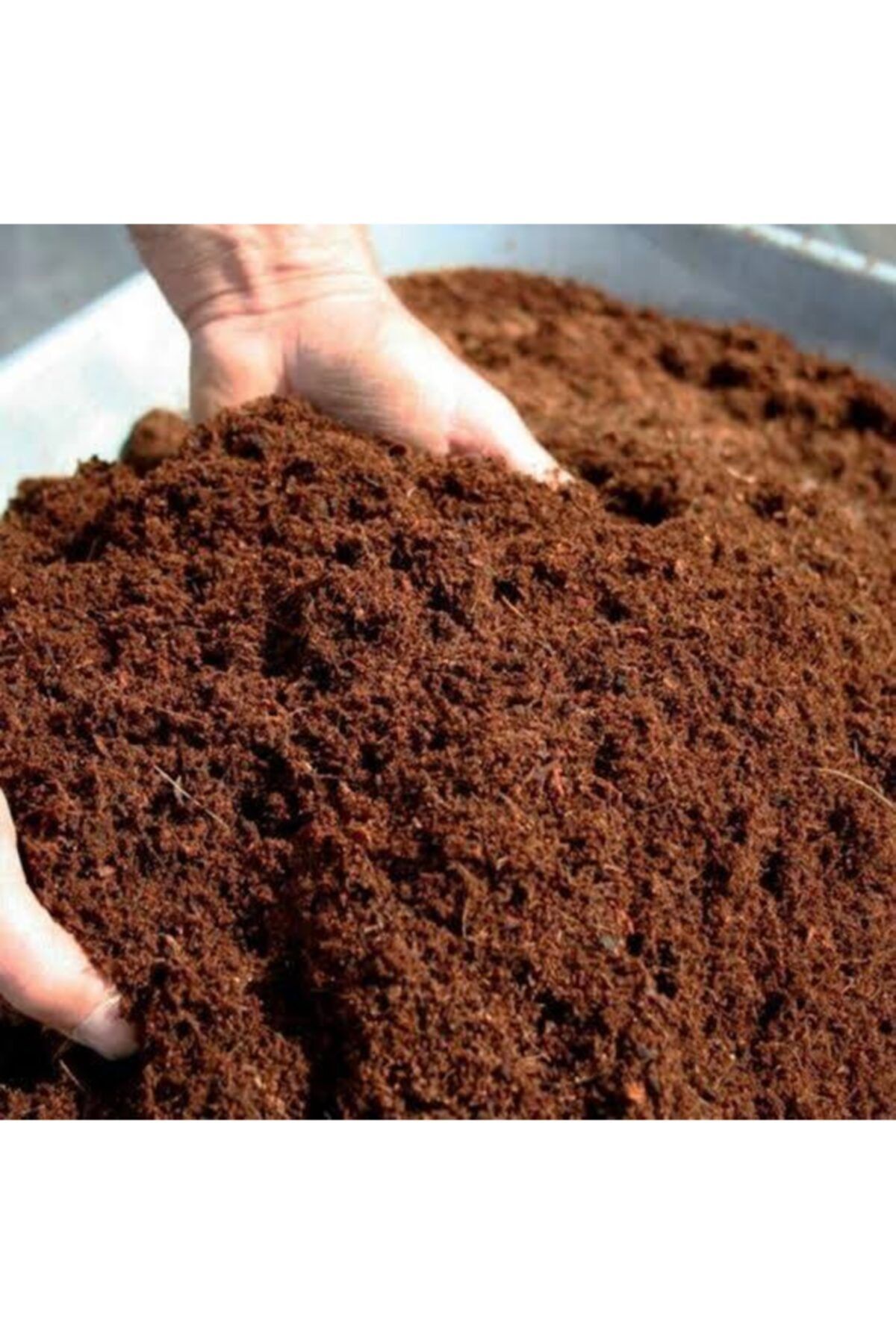 Bahar Sukulent Ve Kaktüs Toprağı
