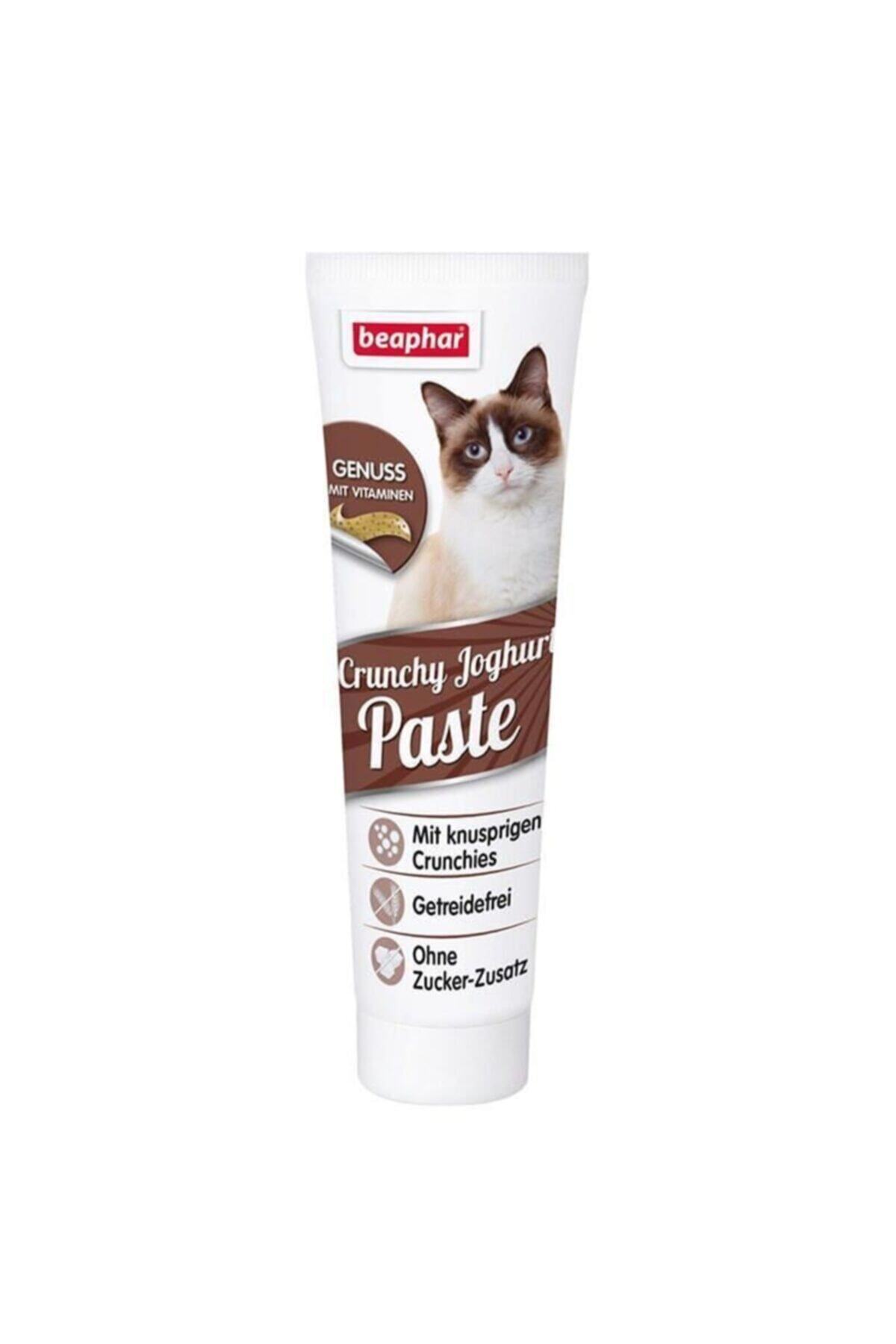 Beaphar Kıtırlı Yoğurtlu Kedi Pastası 100gr