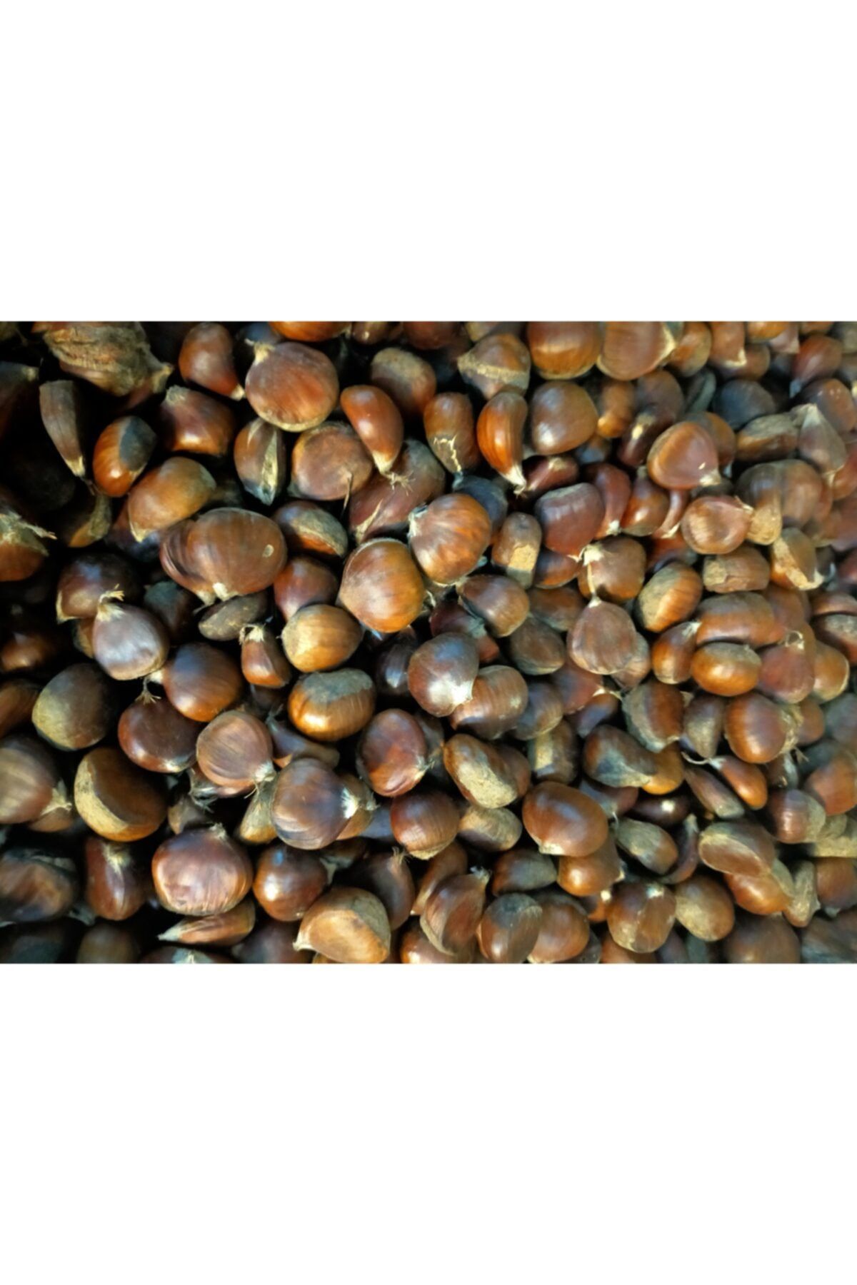 Çiftçitürk Kestane 1kg