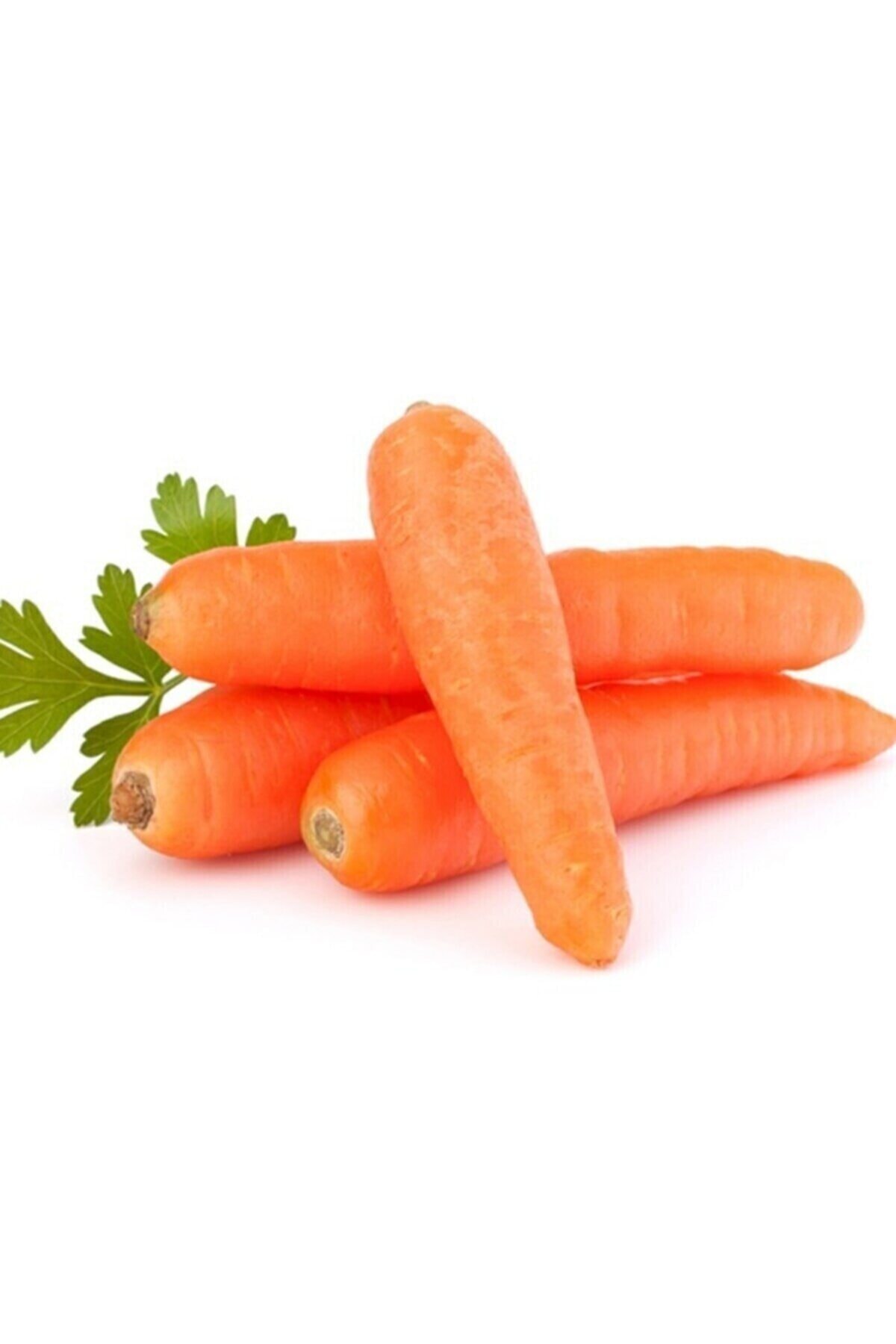 RAÇAM BOTANİK Havuç Tohumu 100 Adet