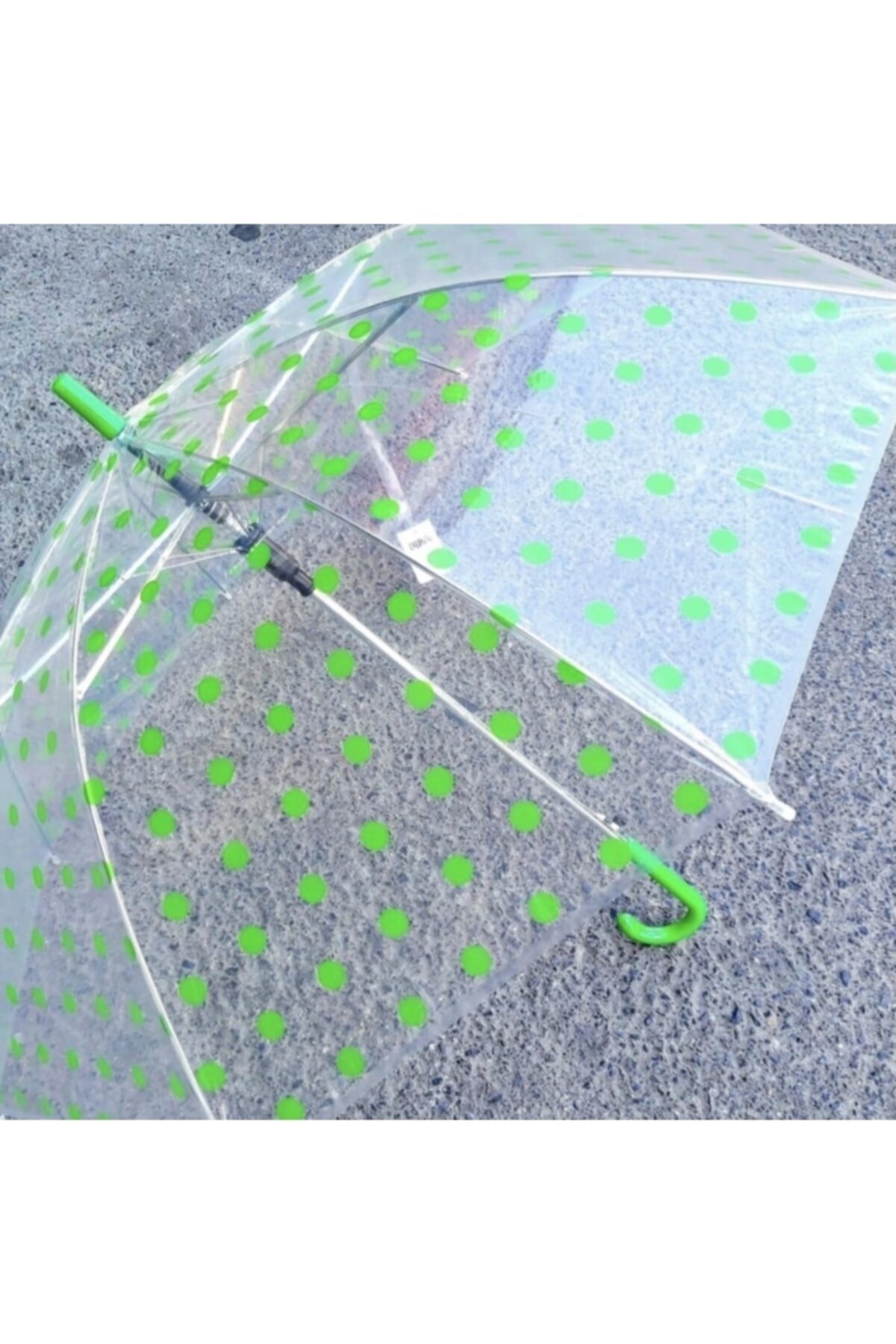 Favorim takı Yeşil Puantiyeli Şeffaf Şemsiye