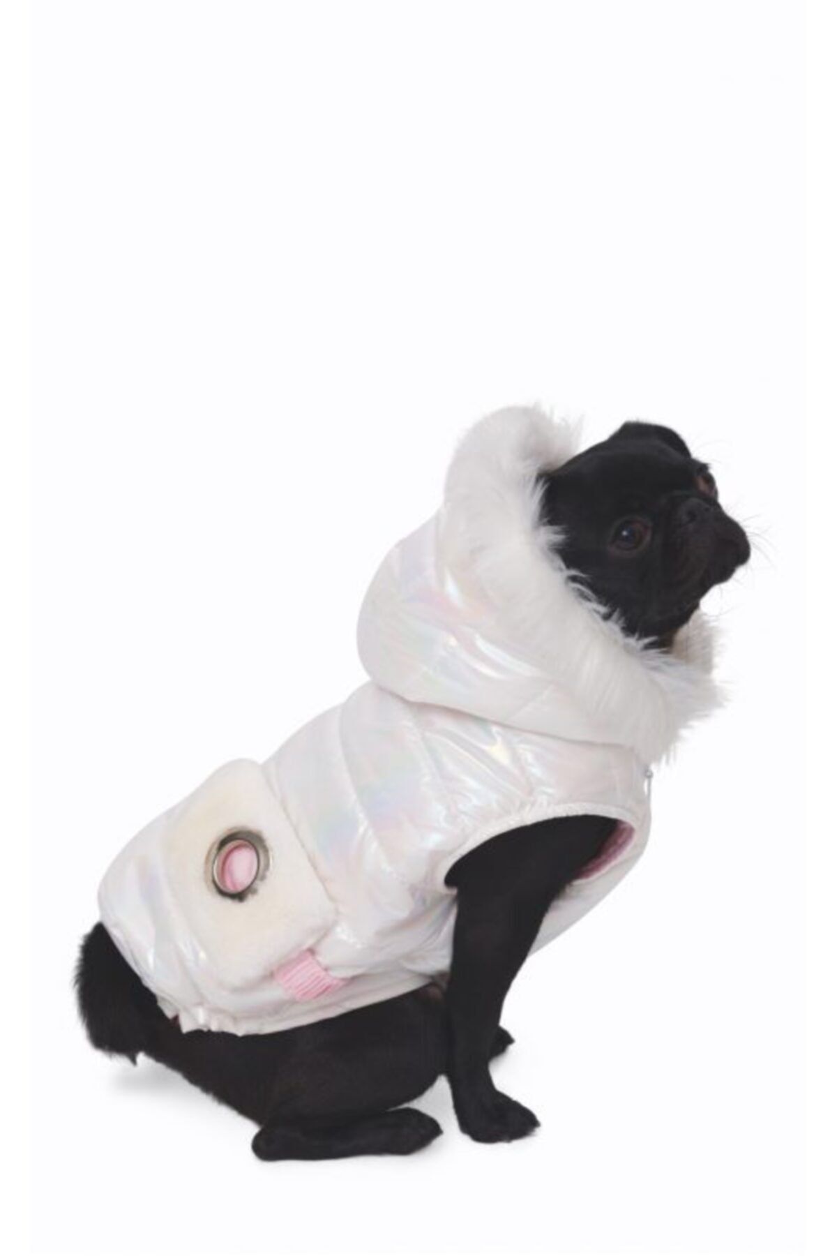 Ciconia Şişme Köpek Montu, Köpek Kıyafeti
