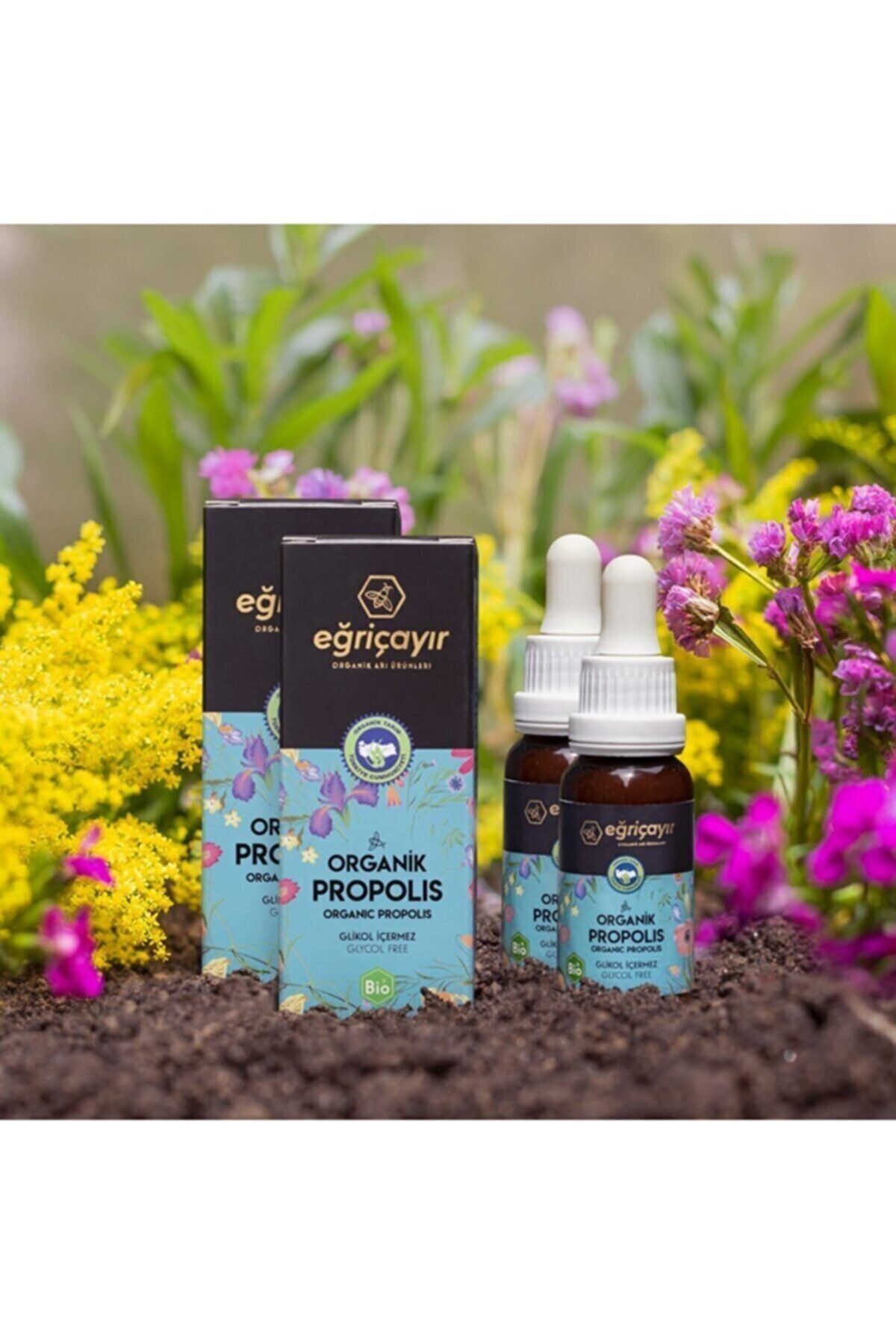 Eğriçayır Organik Propolis Damla Su Bazlı 20 ml 2 Adet