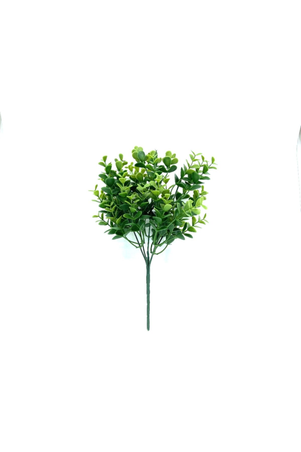 EkaFlower Yapay Çiçek Açık Yeşil Okaliptus Demet 5 Dal