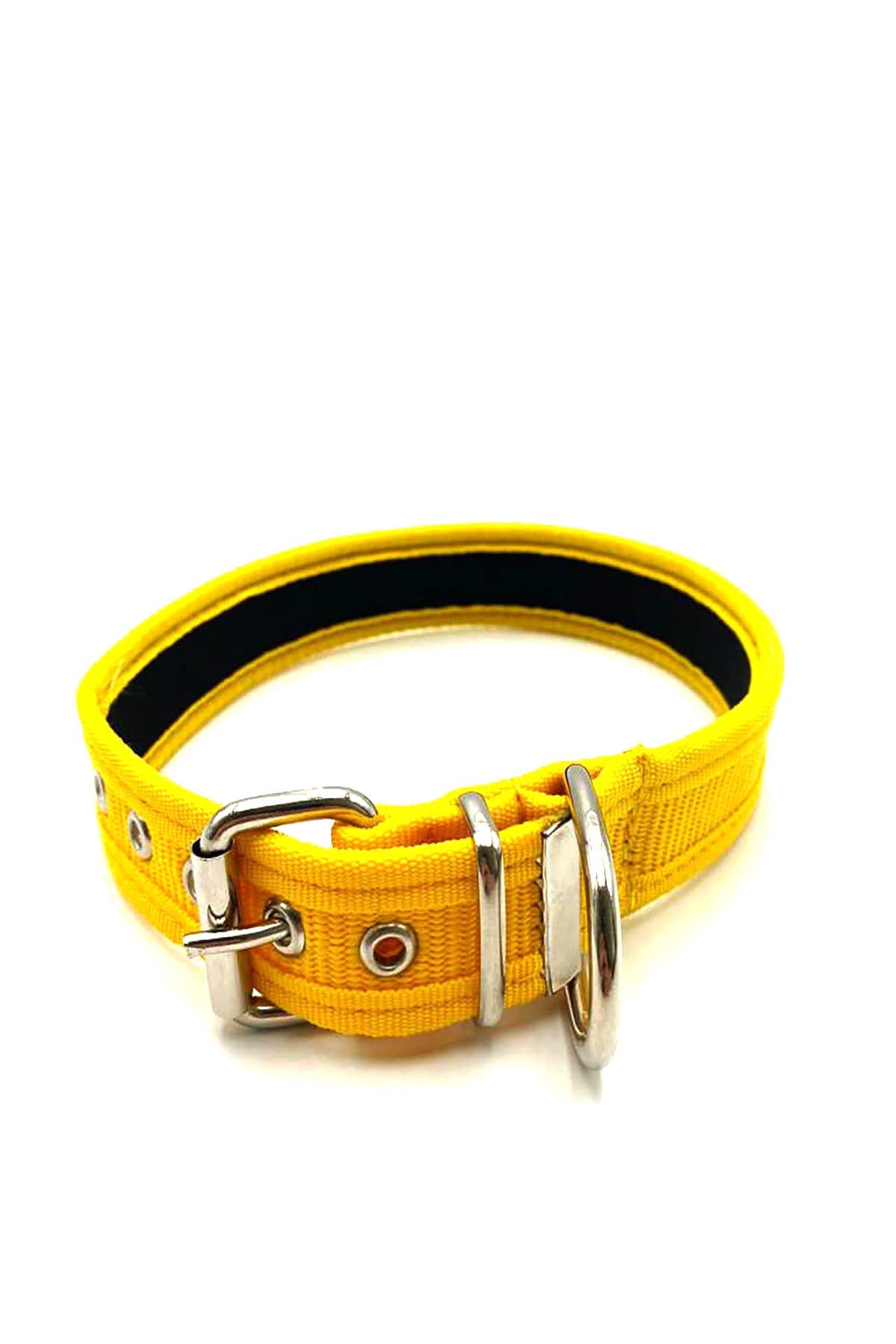 Tasma Market Büyük Orta Irk Köpek Boyun Tasması 48-58cm Sarı Renk Kolon Tasma