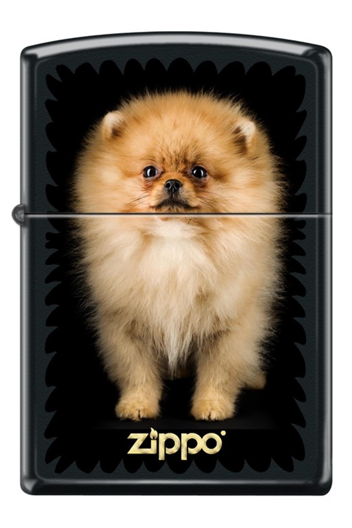 Zippo Puppy Çakmak