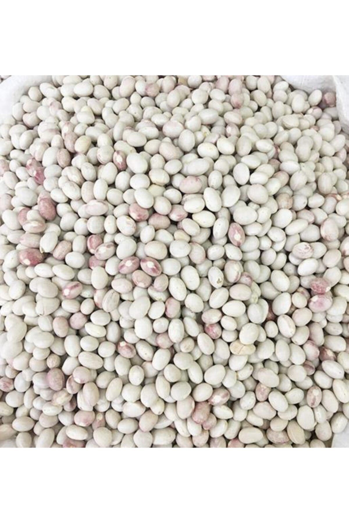 Dağhan Organik Ispir Şeker Fasülyesi 5 Kg