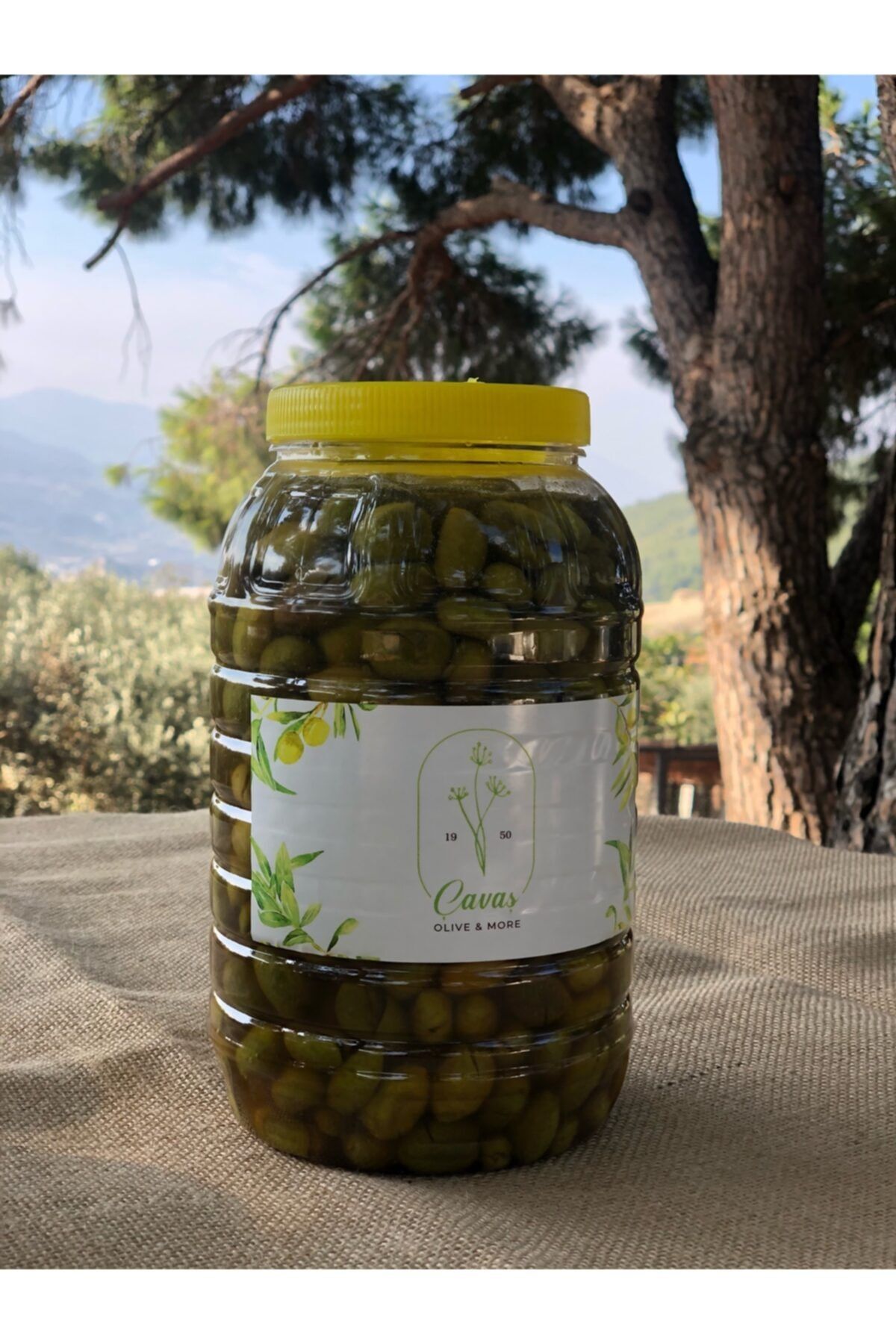 cavas Kırma Yeşil Zeytin 2kg