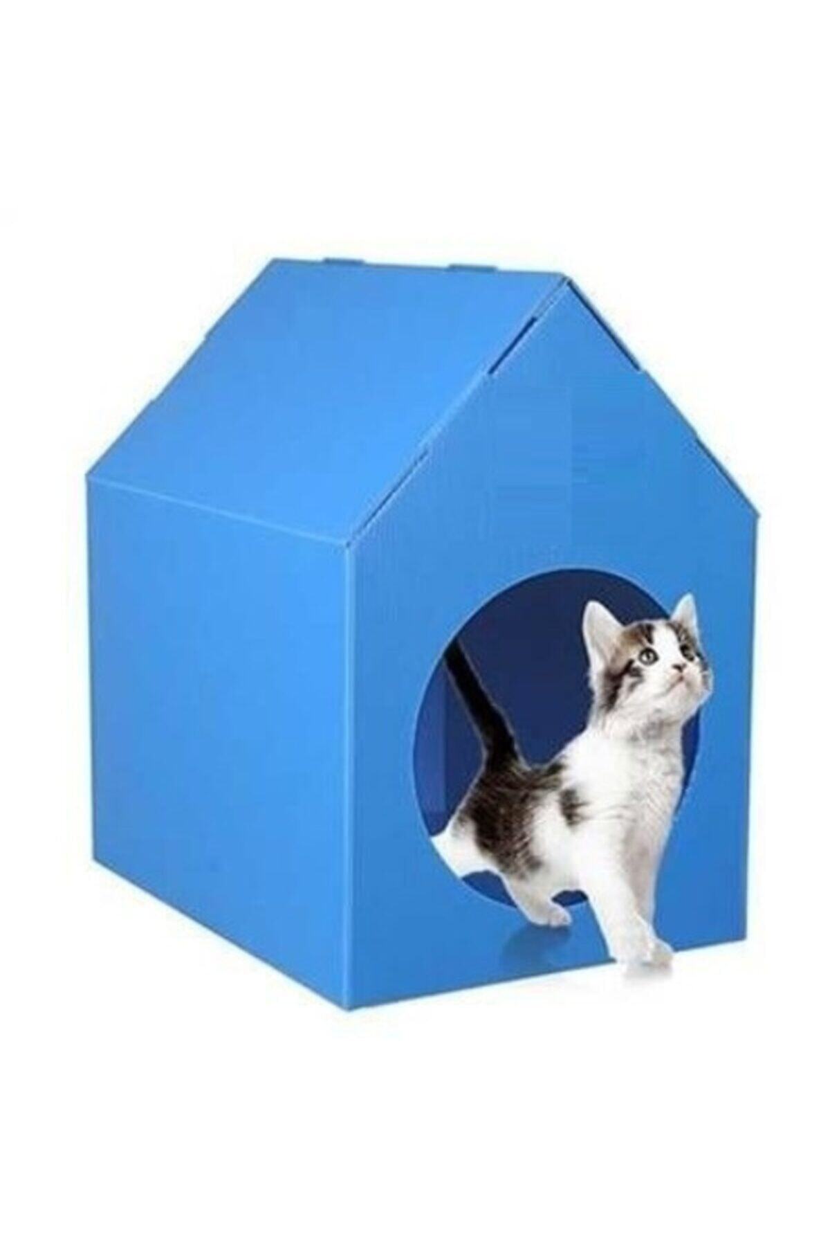 Bereks Plastik Kedi Evi Kedi Kulübesi Kedi Yuvası ( Mavi )