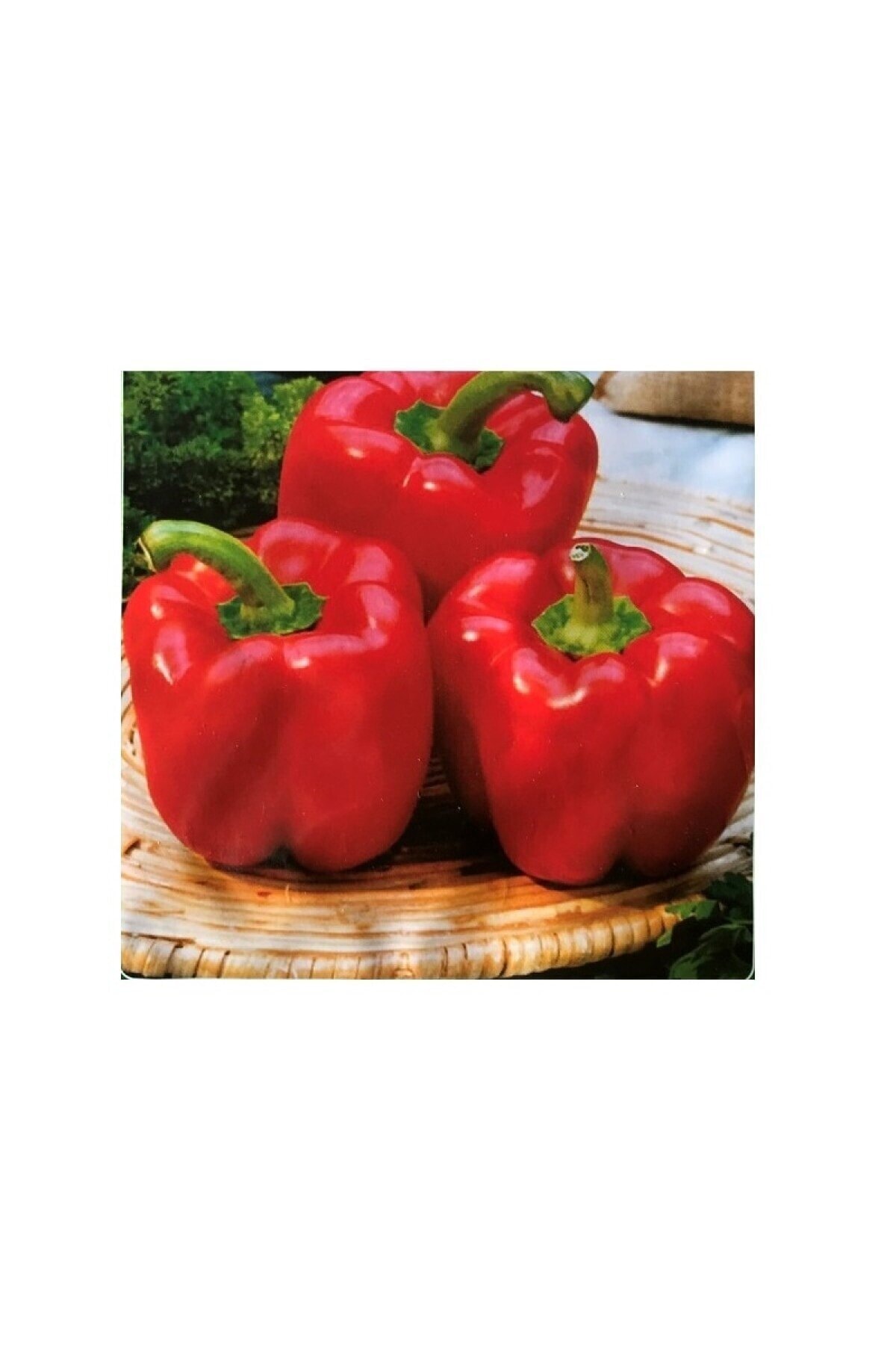 RAÇAM BOTANİK California Biber Tohumu 5gr 1 Paket 2021