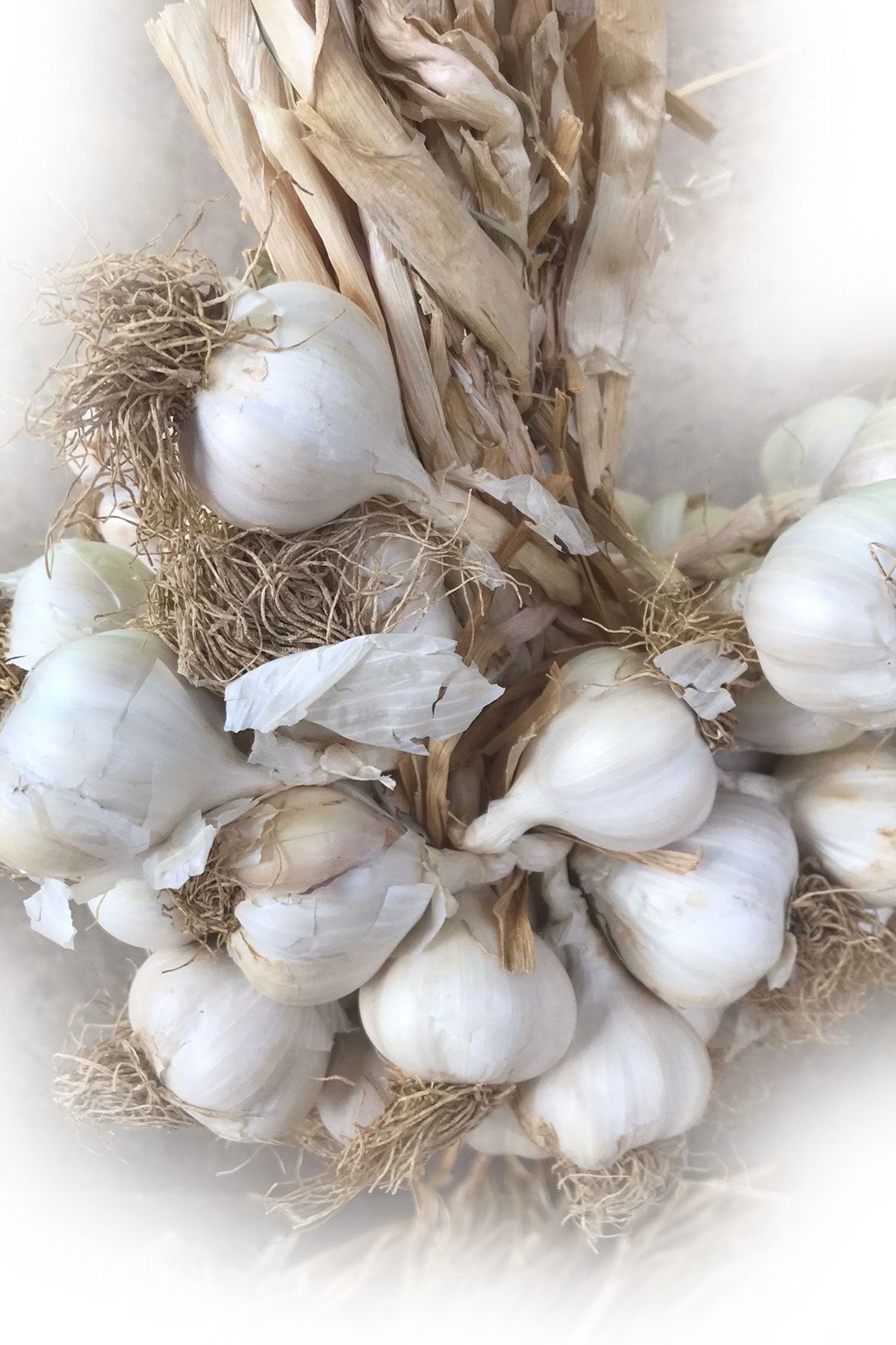 Taşköprü Sarımsağı 1kg Sarımsak