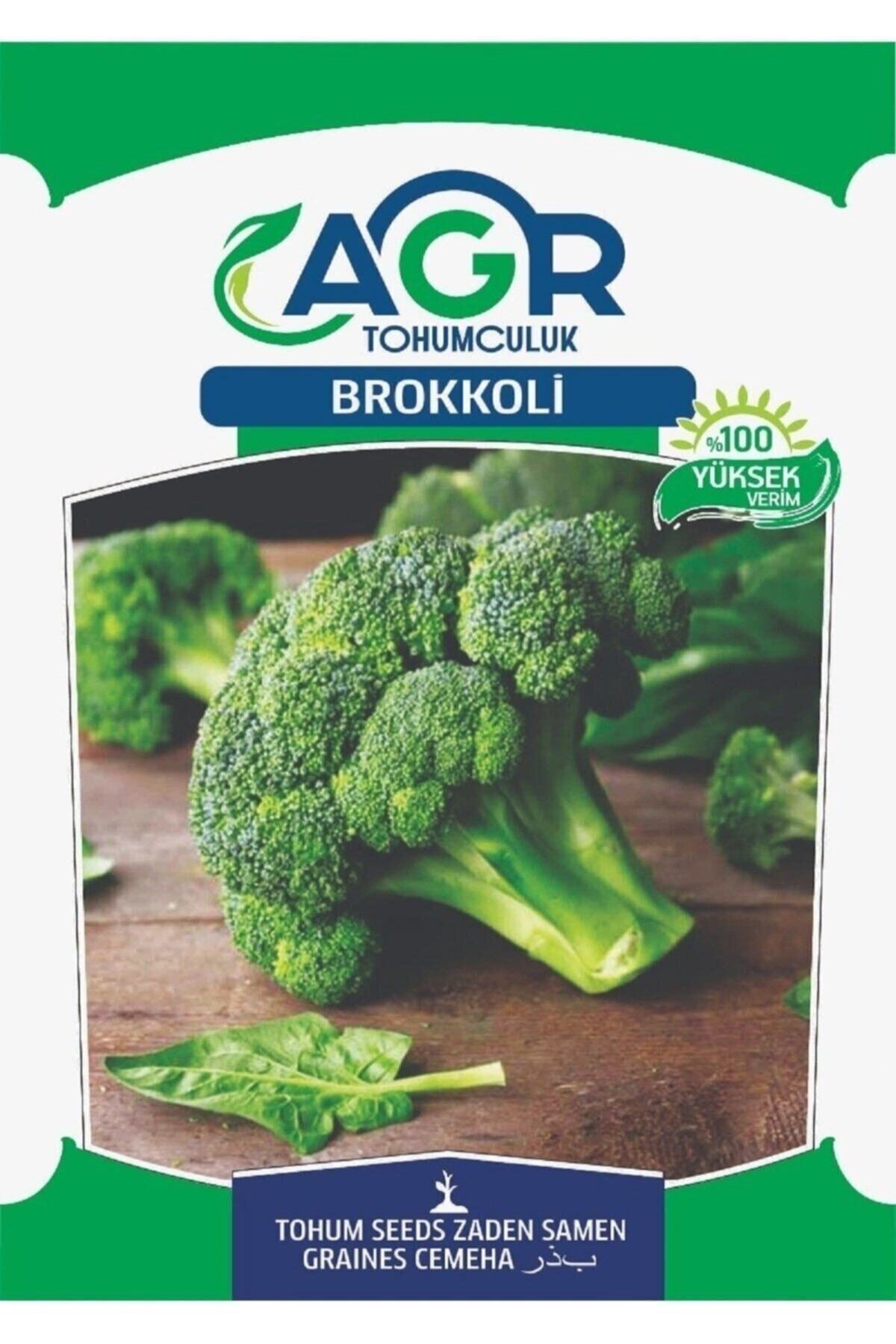 RAÇAM BOTANİK Brokoli Tohumu 105 Adet Brokkoli Brocoli