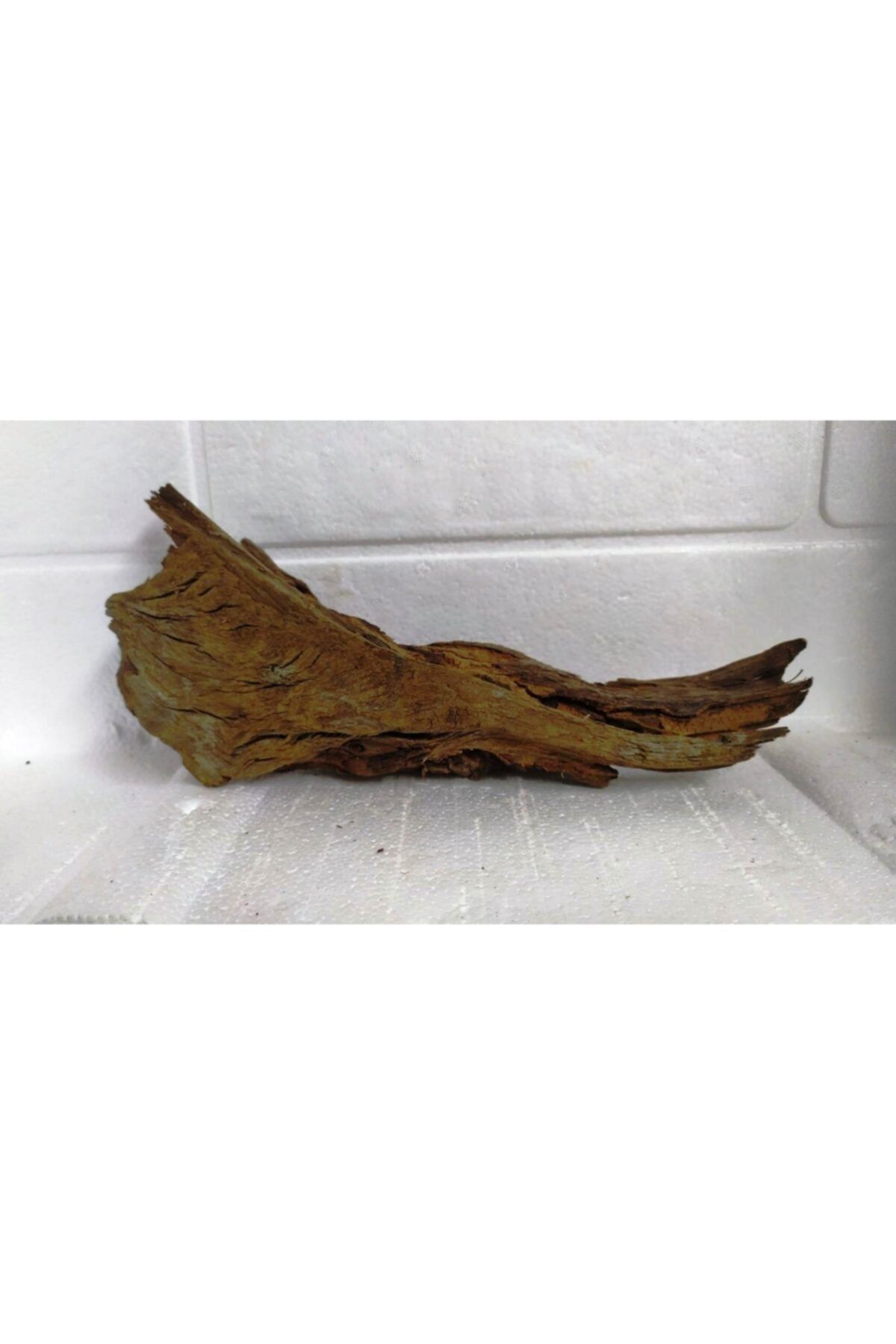 rofo Doğal Akvaryum Dekoru Mangrov Kökü ( 37x16 Cm)