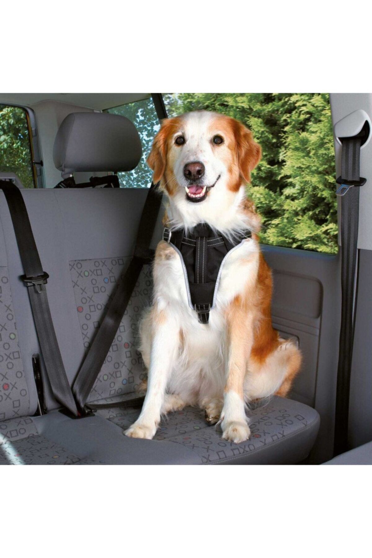 angel store Köpek Emniyet Kemeri Ve Göğüs Tasması, M:50-65cm/20mm, Siyah