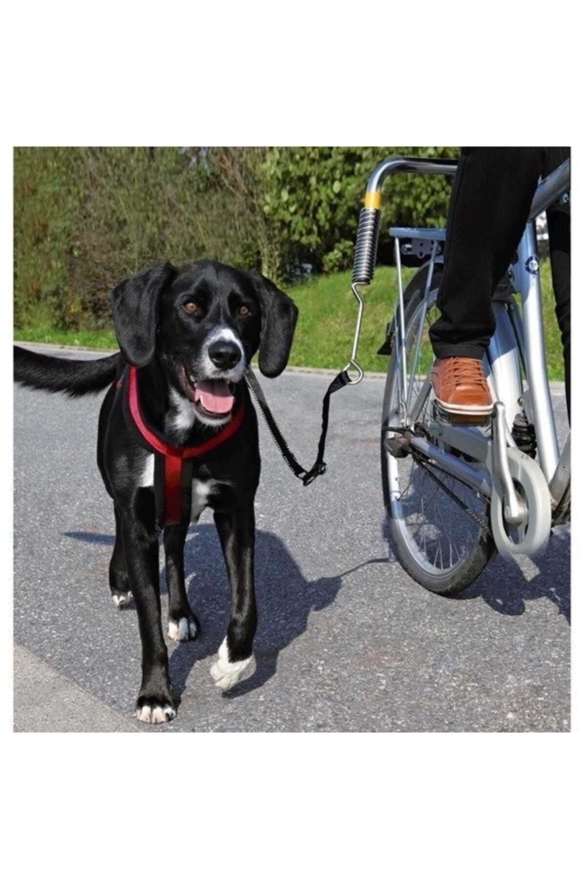 angel store Bisiklet Için Köpek Yürütme Aparatı