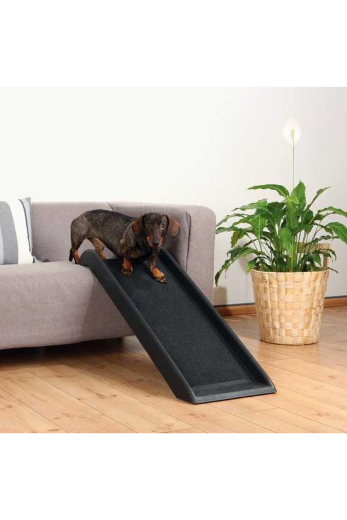angel store Köpek Rampası, 38x100cm Siyah