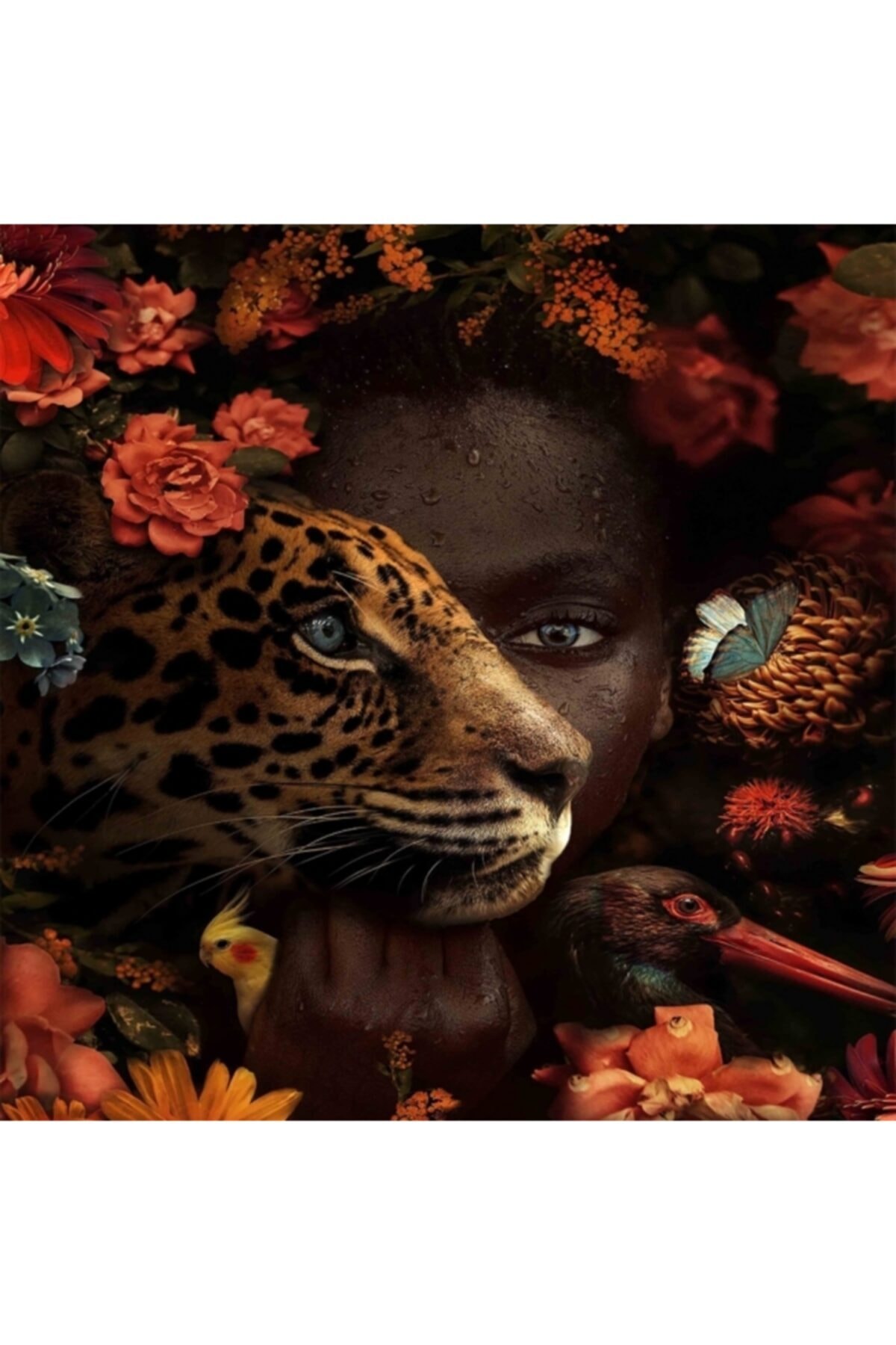 Fupe Shop Afrikali Güzel Ve Dostları Sayılarla Boyama Seti Kasnaklı 90 X 110 Cm