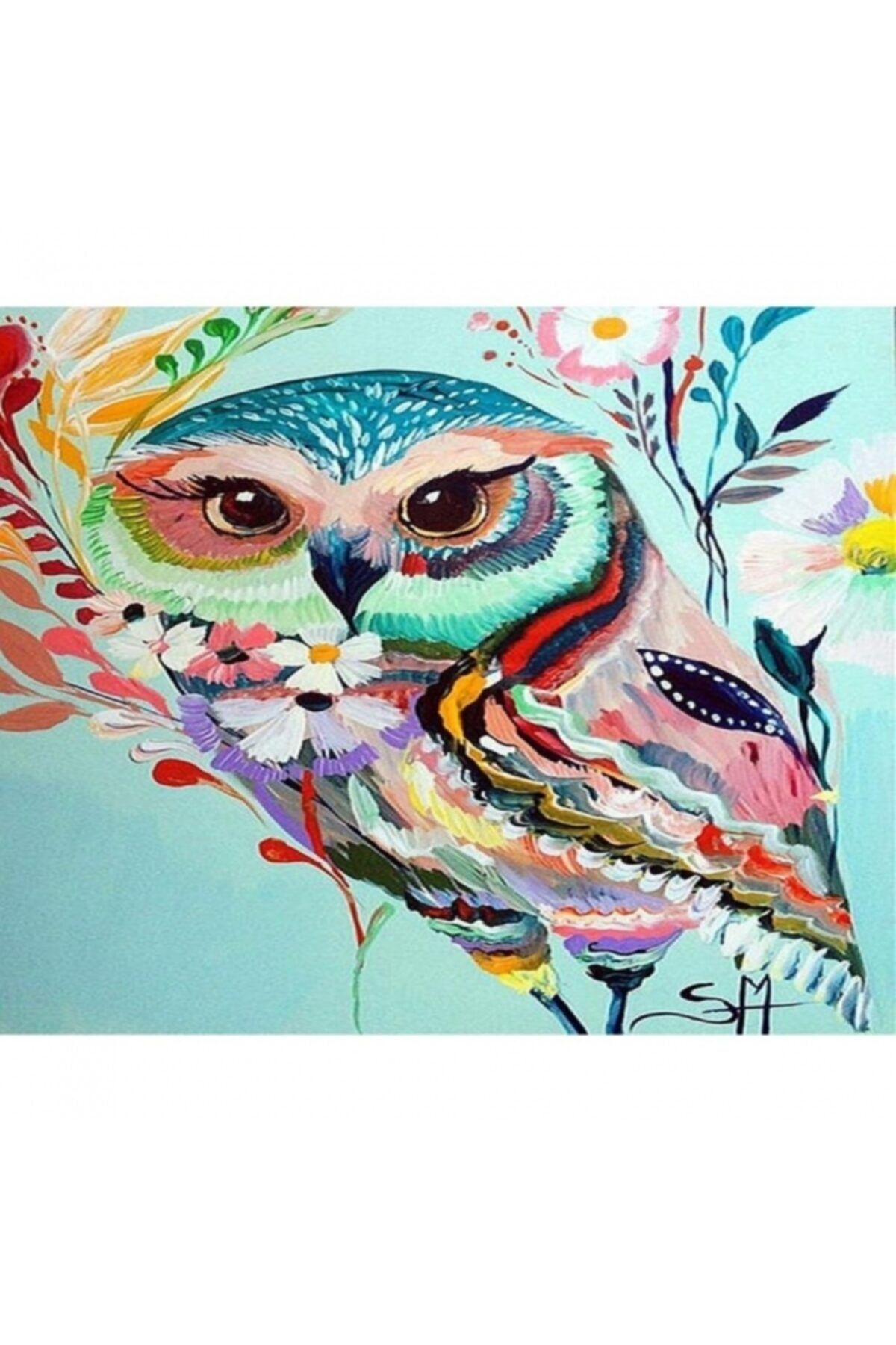 Fupe Shop Desenli Baykuş Sayılarla Boyama Seti Kasnaklı 60 X 75 Cm