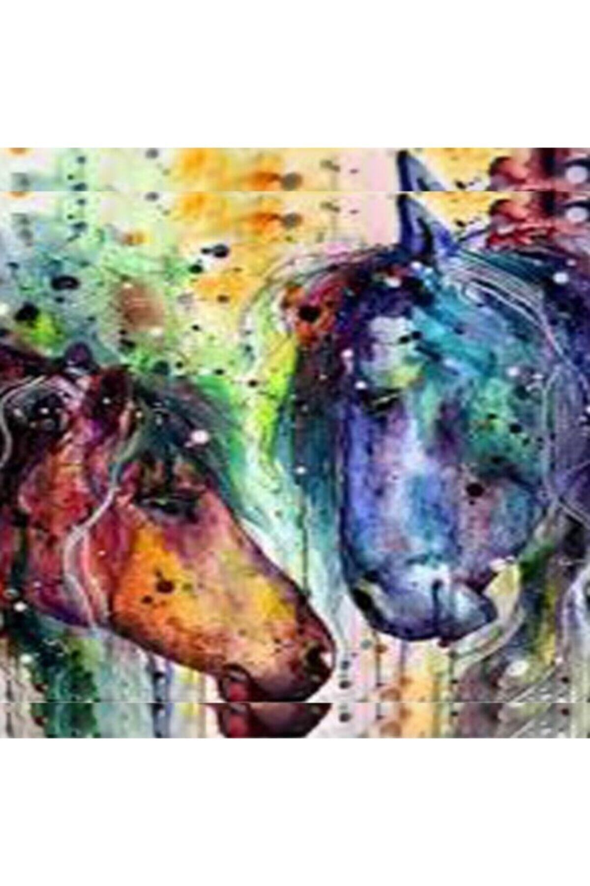 Fupe Shop Renkli Atlar Sayılarla Boyama Seti Kasnaklı 70 X 90 Cm