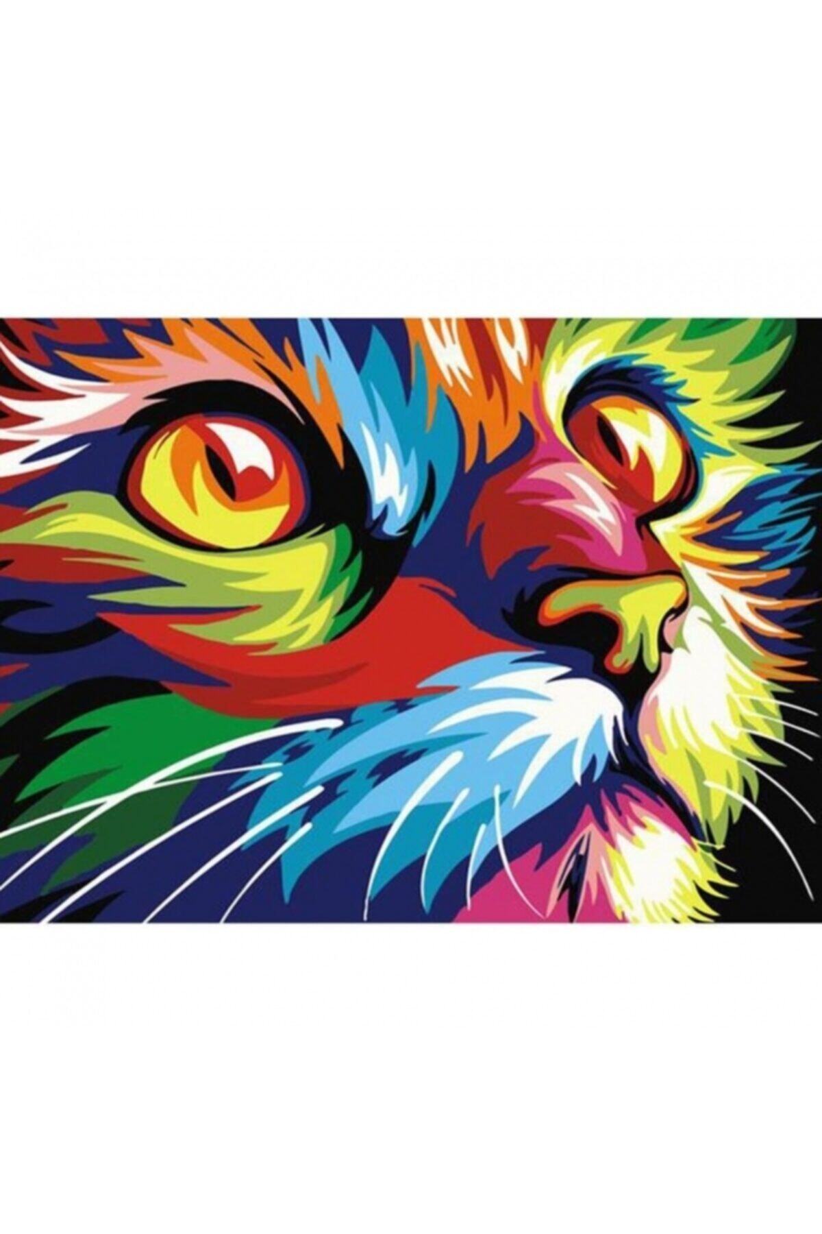 Fupe Shop Renkli Tekir Sayılarla Boyama Seti Kasnaklı 60 X 75 Cm