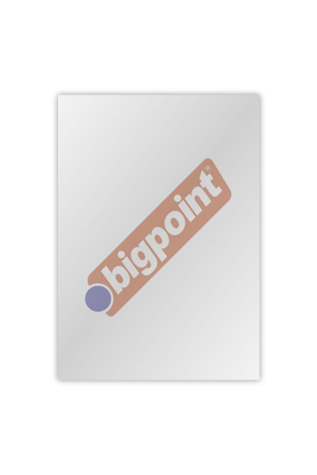 Bigpoint A3 Cilt Kapağı Şeffaf 100'lü Paket