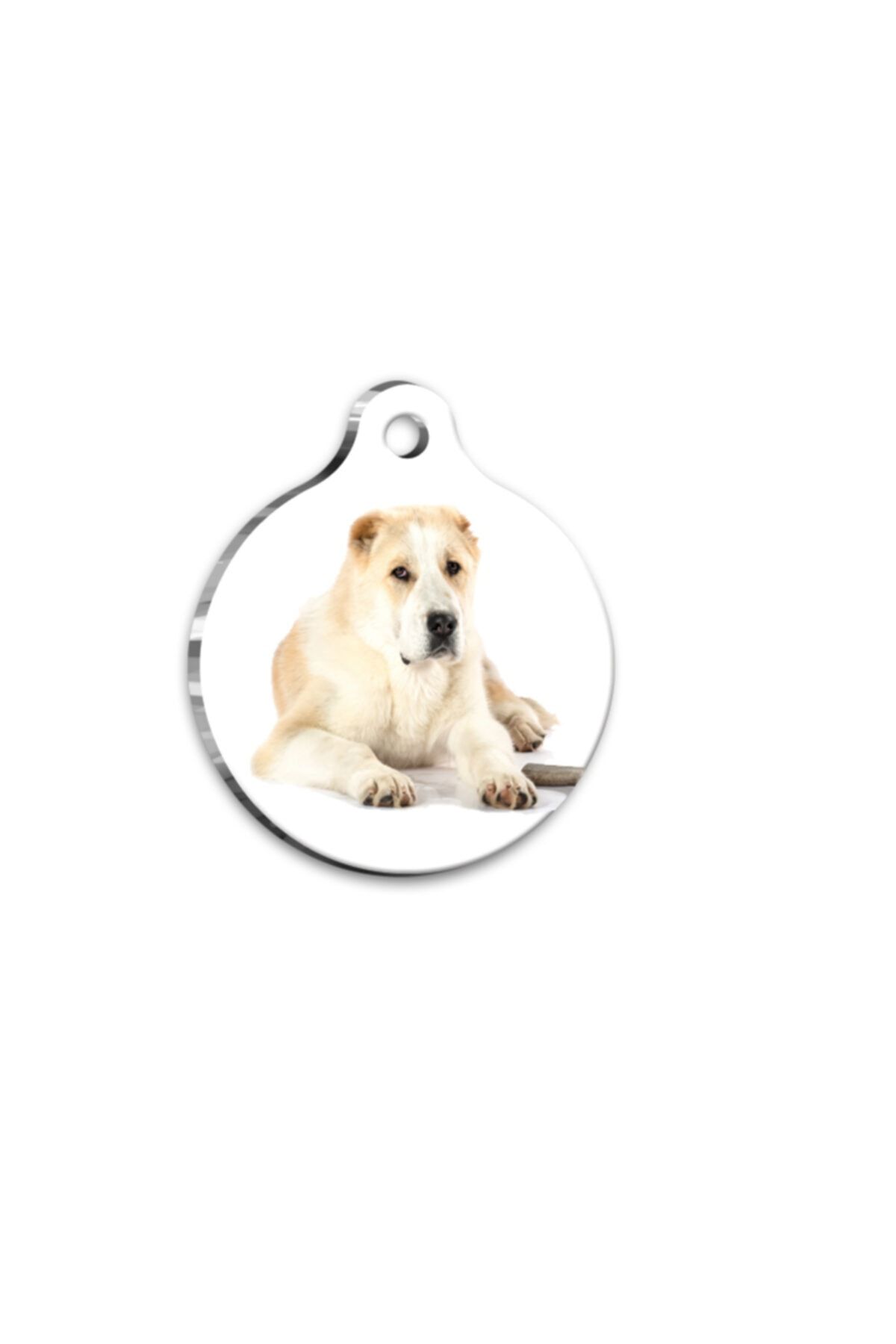 Thepassage Alabai Yuvarlak Köpek Künyesi 3.8 Cm