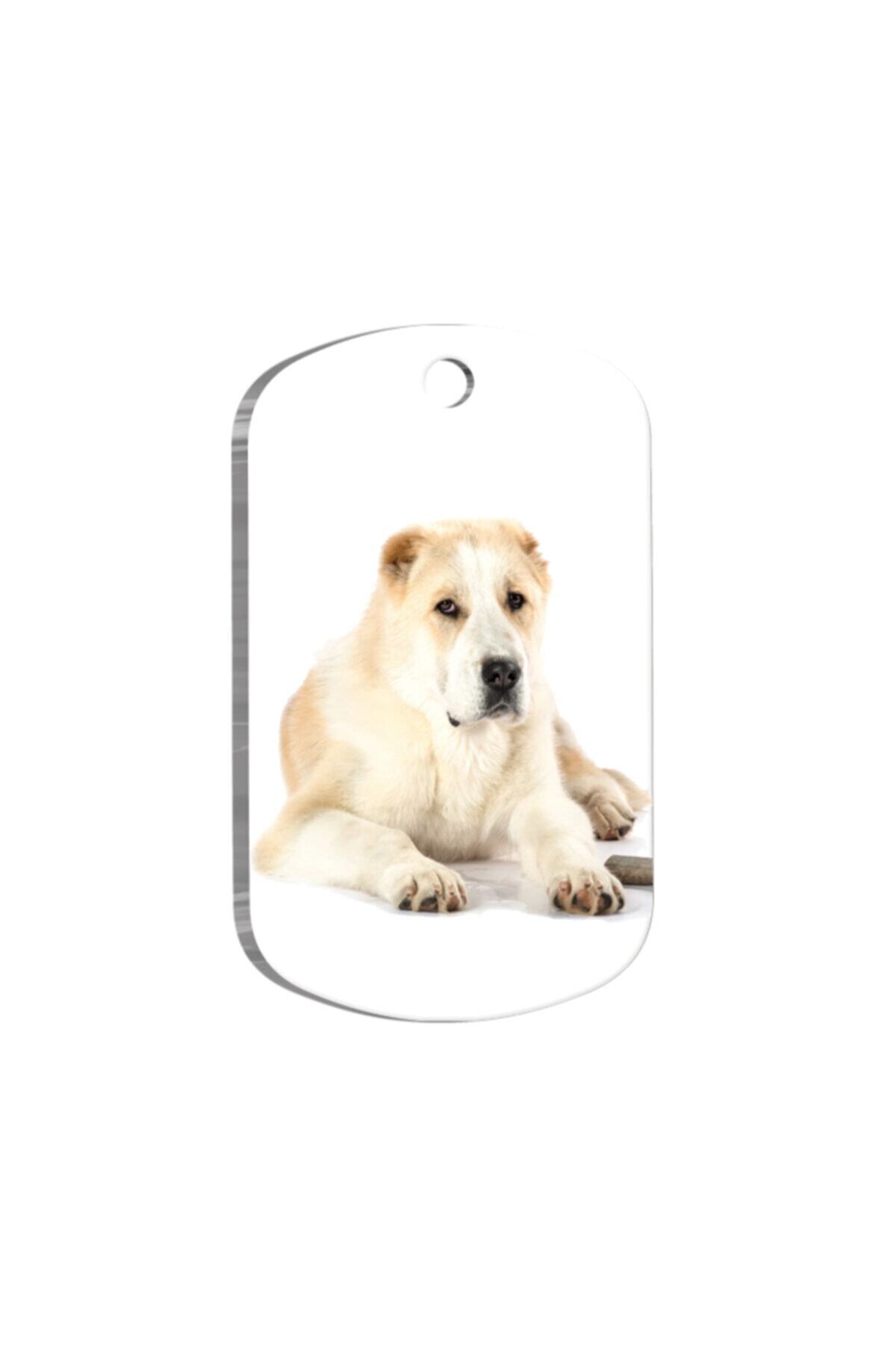 Thepassage Alabai Köpek Künyesi 3.8 Cm