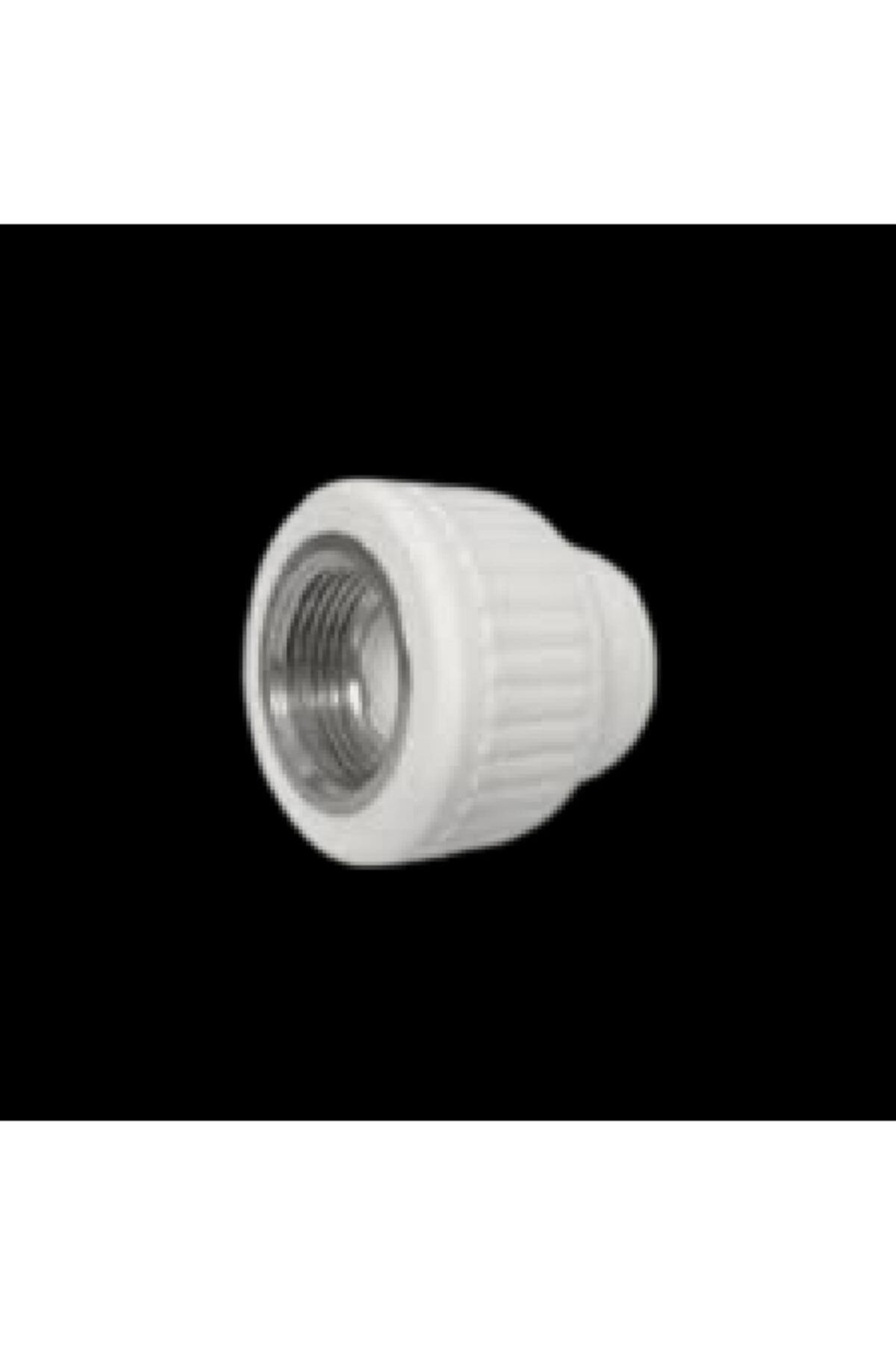 Elbo 25x3/4 Pprc Iç Diş Adaptör