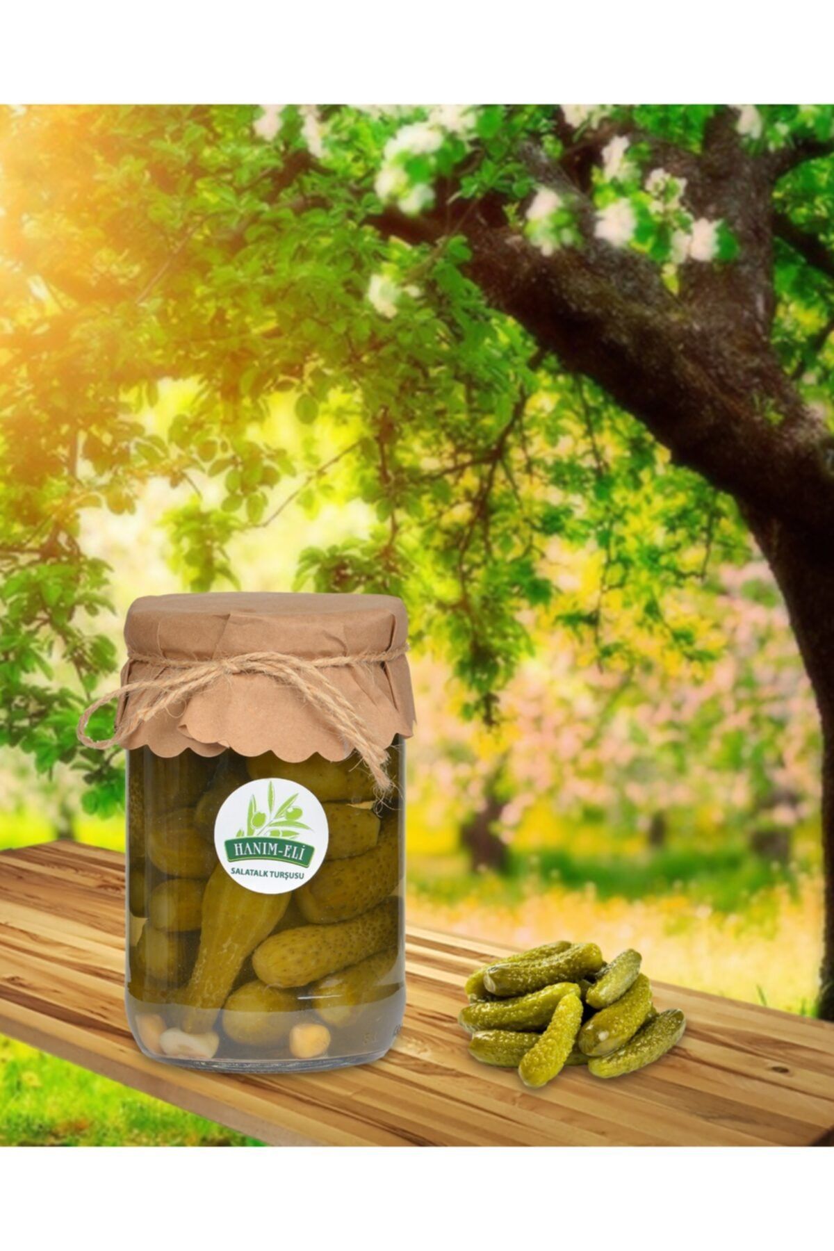 hanımeli Ev Yapımı Salatalık Turşusu 660 gr